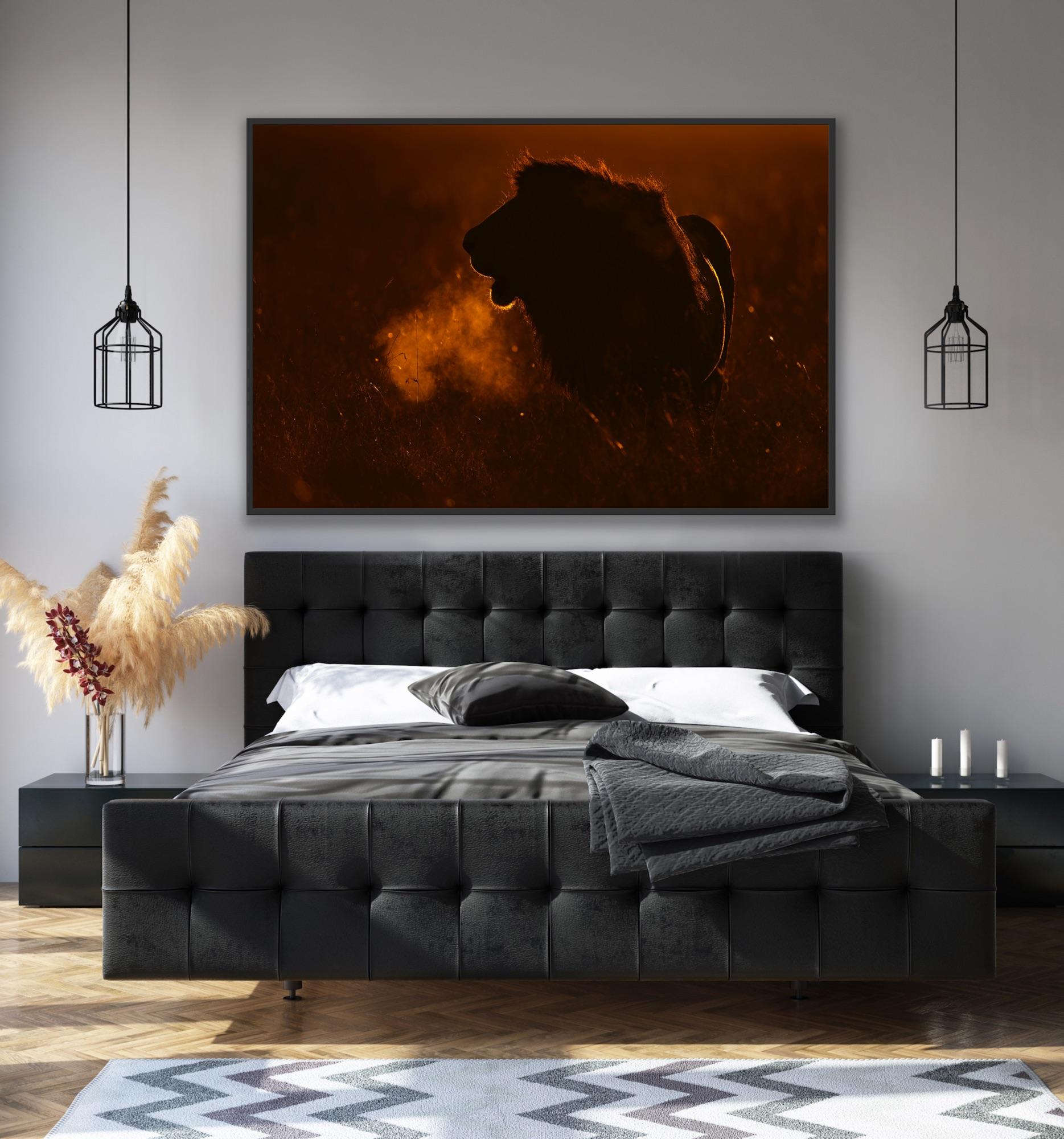 Landscape Photography Nature Animal Large African Lion Wildlife Orange Sunset For Sale 10