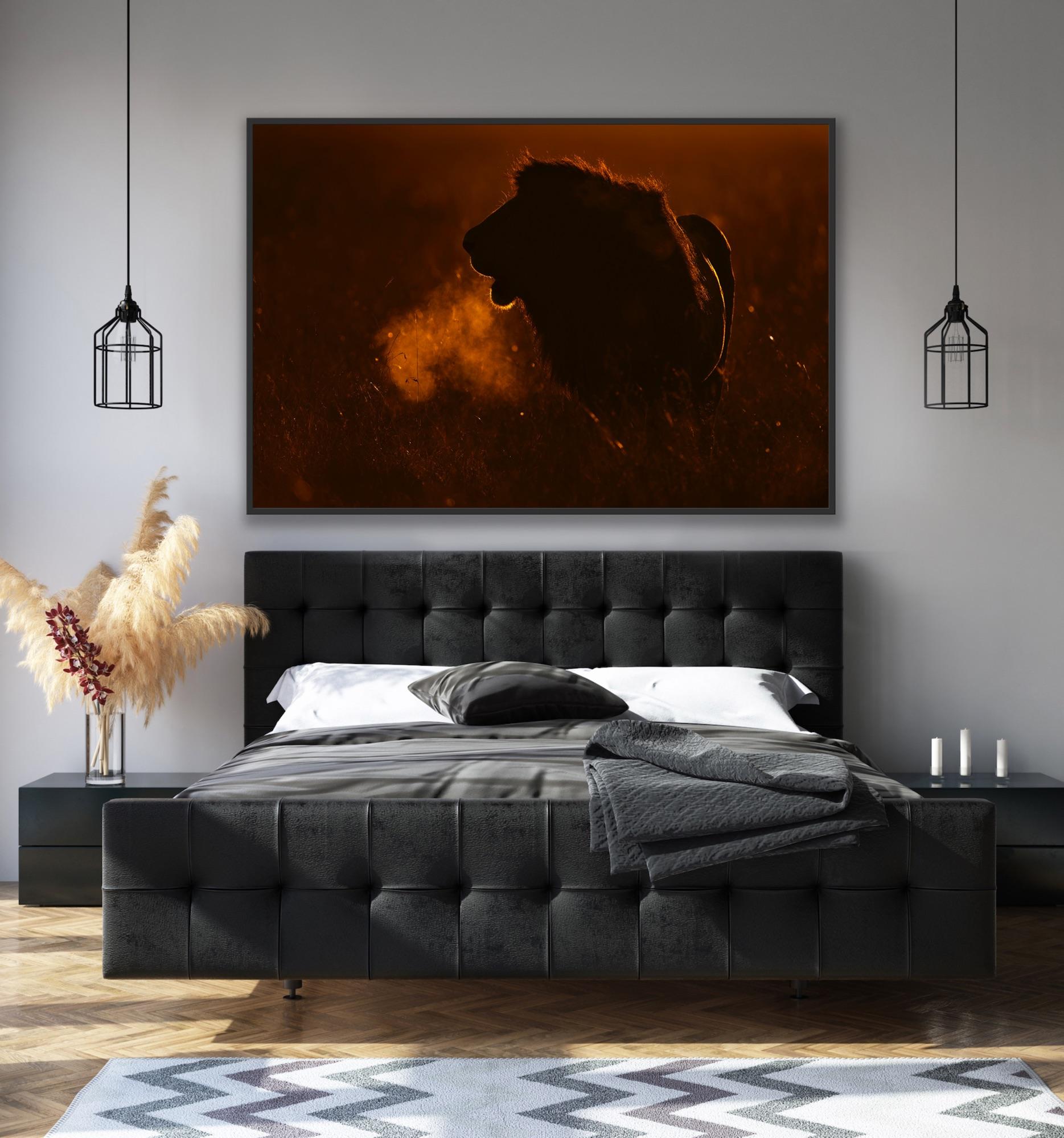 Landscape Photography Nature Animal Large African Lion Wildlife Orange Sunset  en vente 13