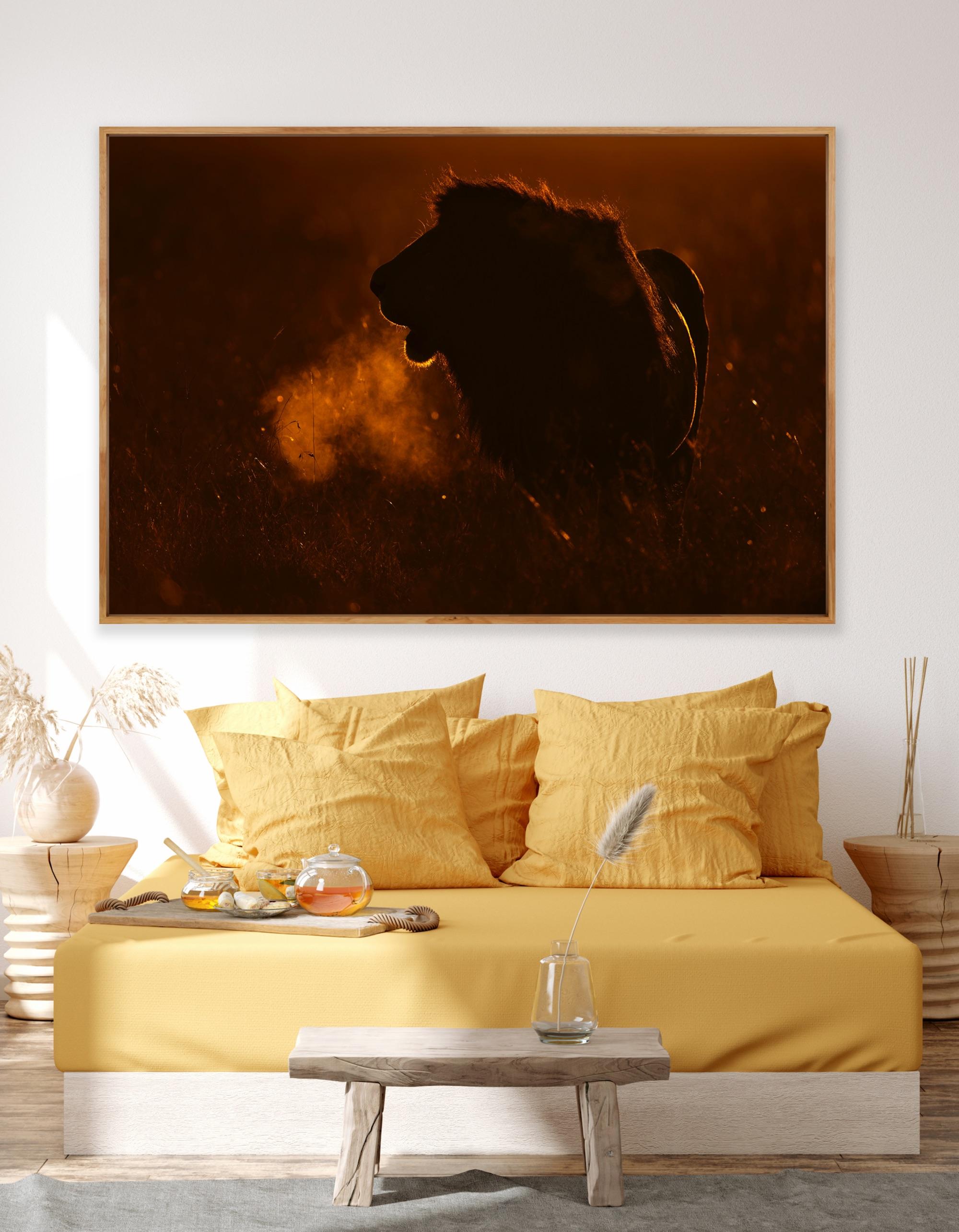 Landscape Photography Nature Animal Large African Lion Wildlife Orange Sunset  For Sale 16
