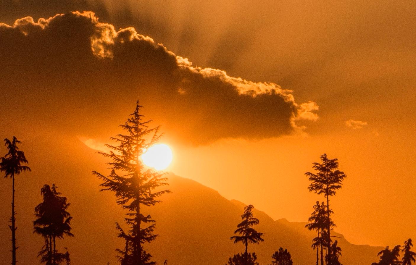 Paysage Photographie Large Nature Montagnes Arbres Coucher de soleil Faune Inde Orange en vente 1