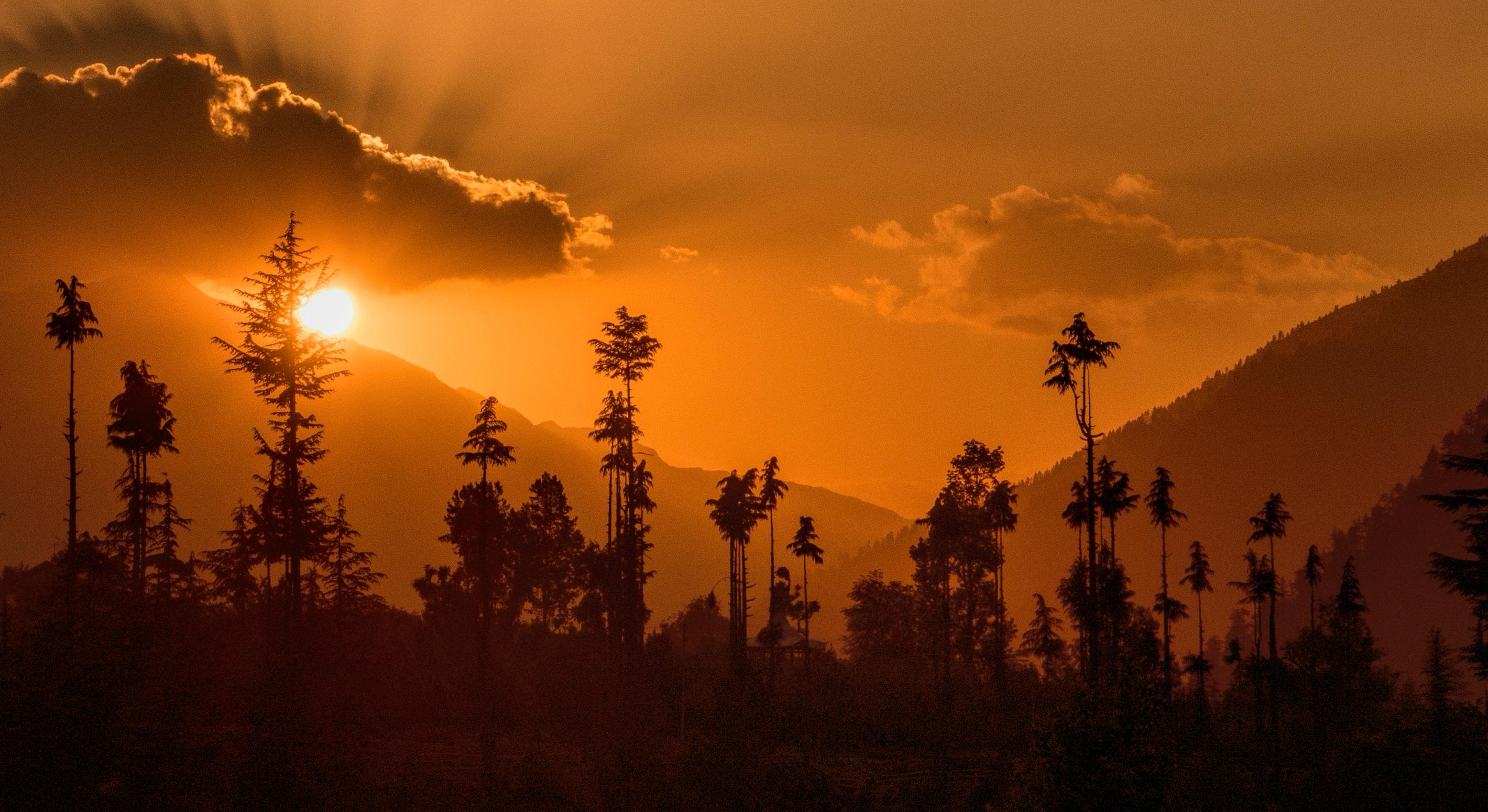 Paysage Photographie Large Nature Montagnes Arbres Coucher de soleil Faune Inde Orange en vente 2
