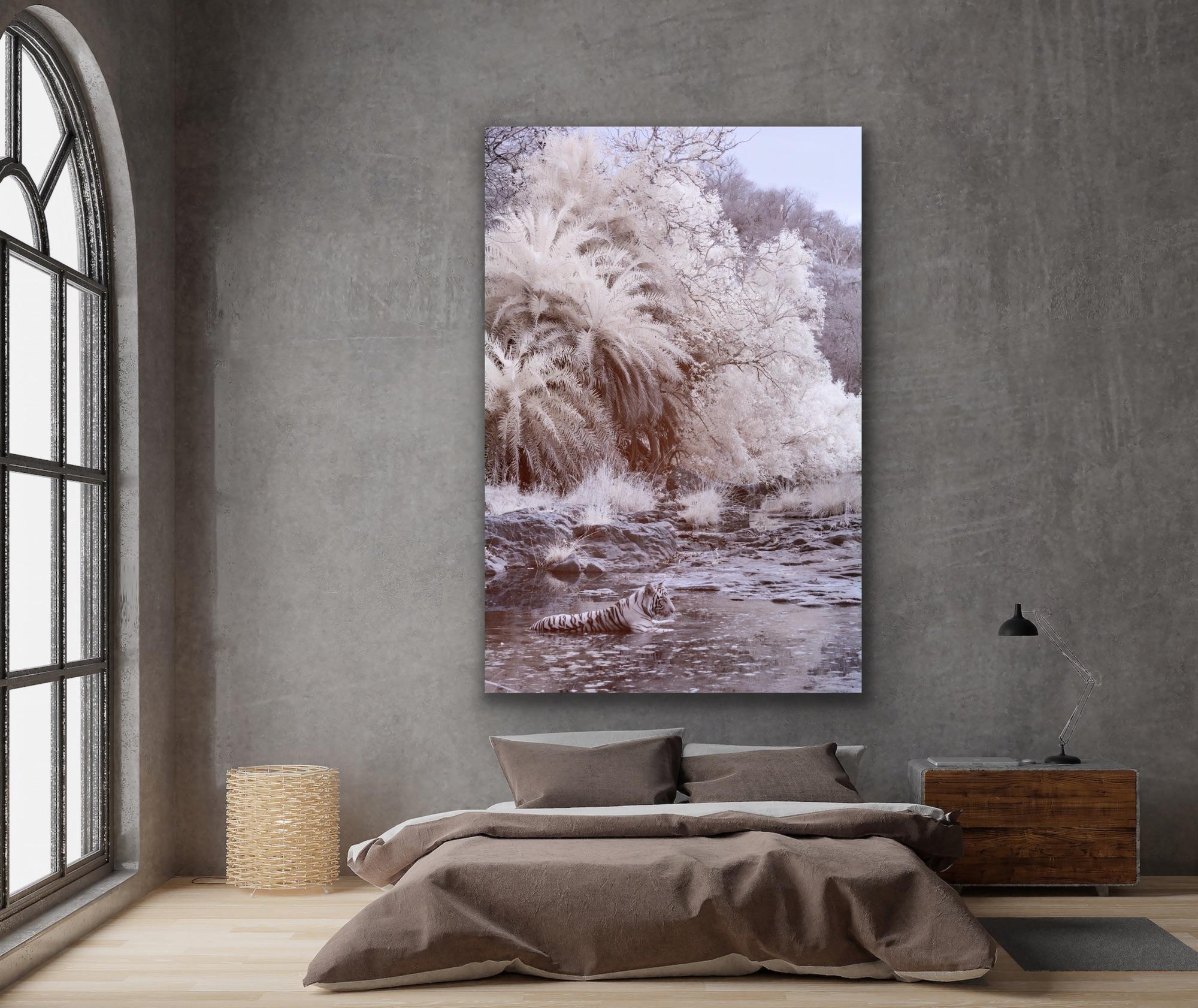 Nature Landscape Photograph Black & White Tiger Palm Trees River Wildlife India For Sale 1