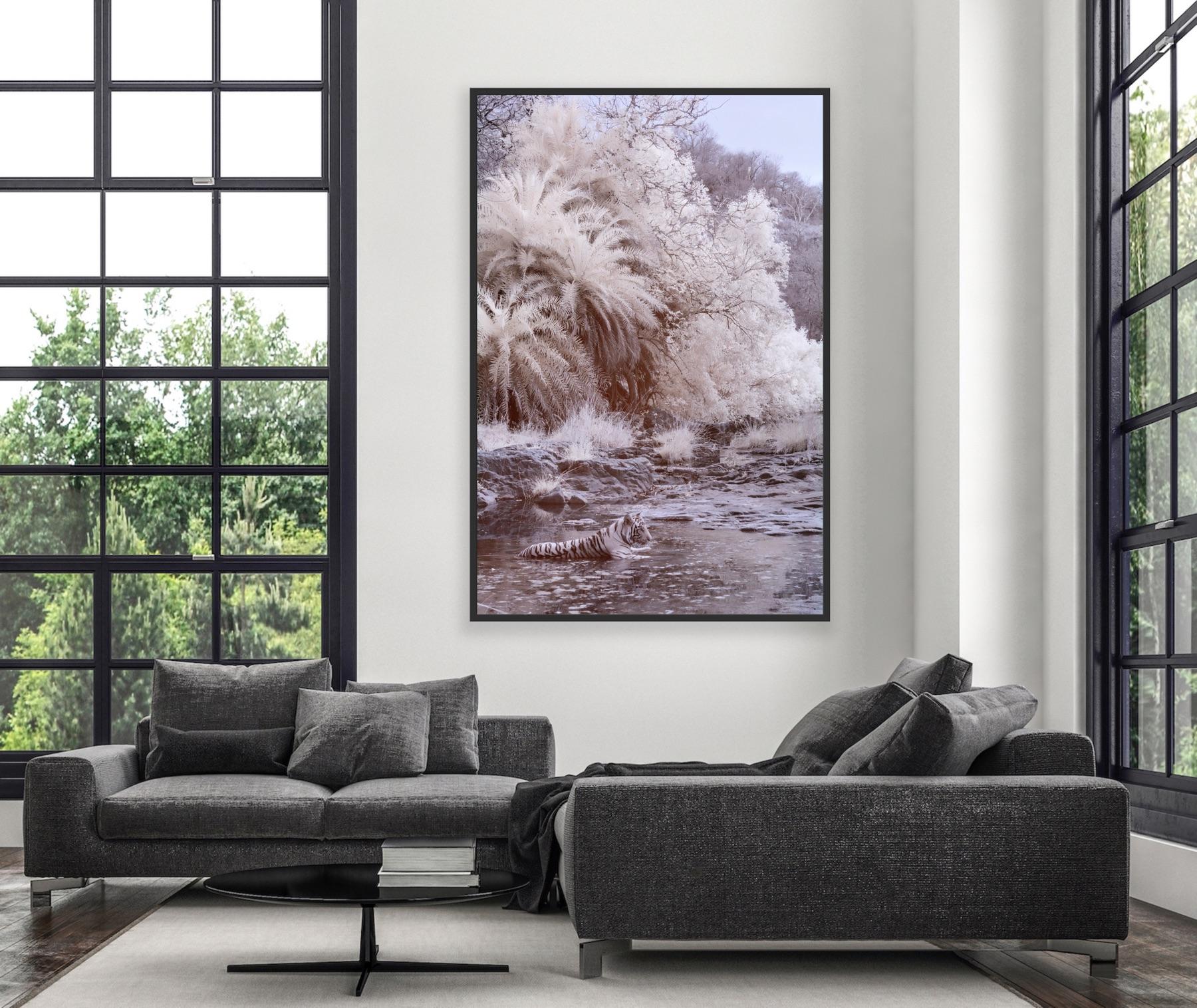 Nature Landscape Photograph Black & White Tiger Palm Trees River Wildlife India For Sale 2