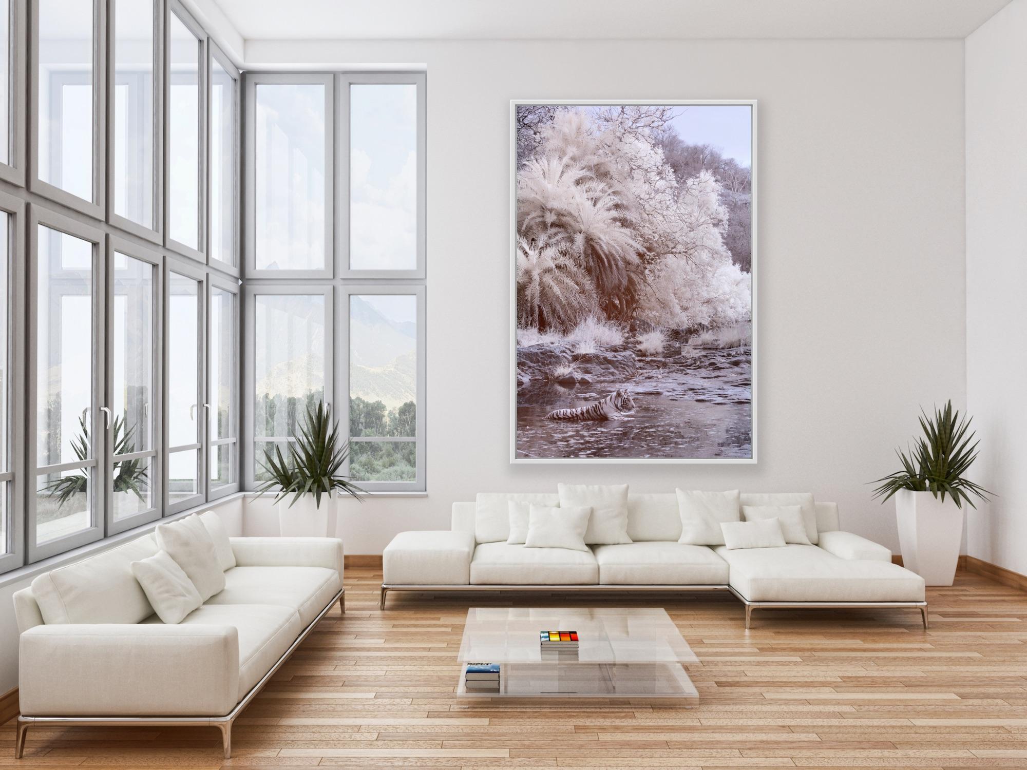Nature Landscape Photograph Black & White Tiger Palm Trees River Wildlife India For Sale 3