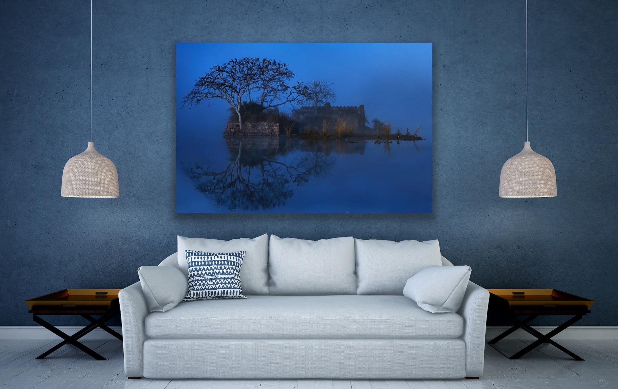 Landscape Photograph Large Nature Lake Trees Water Wildlife India Blue For Sale 7