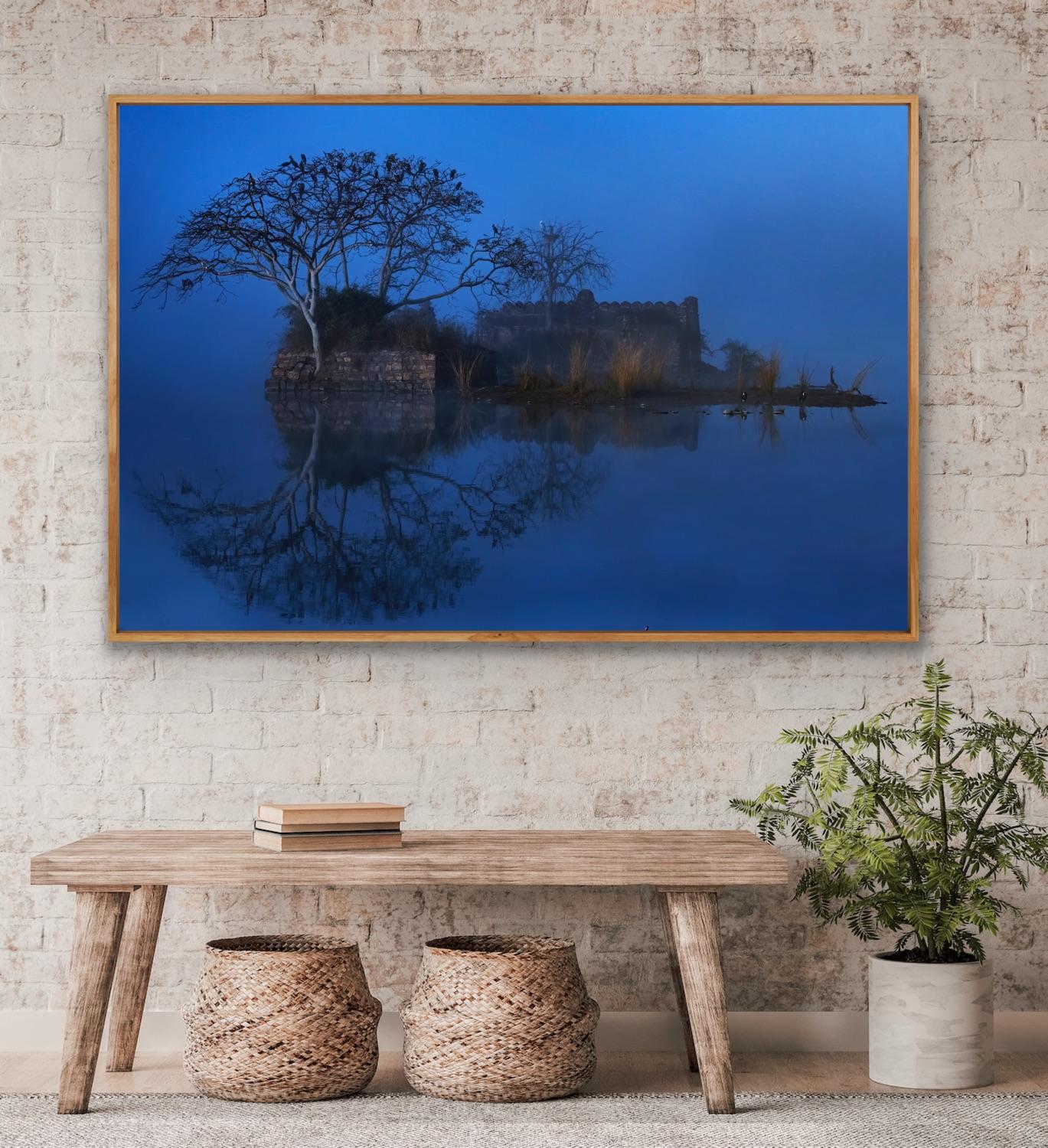 Landscape Photograph Large Nature Lake Trees Water Wildlife India Blue For Sale 1