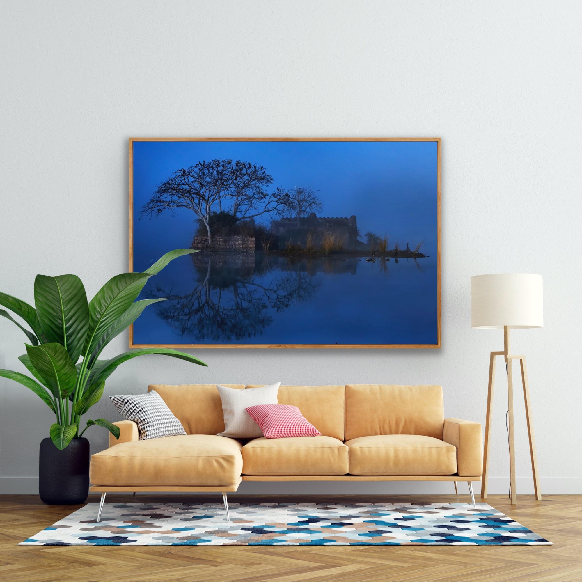 Landscape Photograph Large Nature Lake Trees Water Wildlife India Blue For Sale 3
