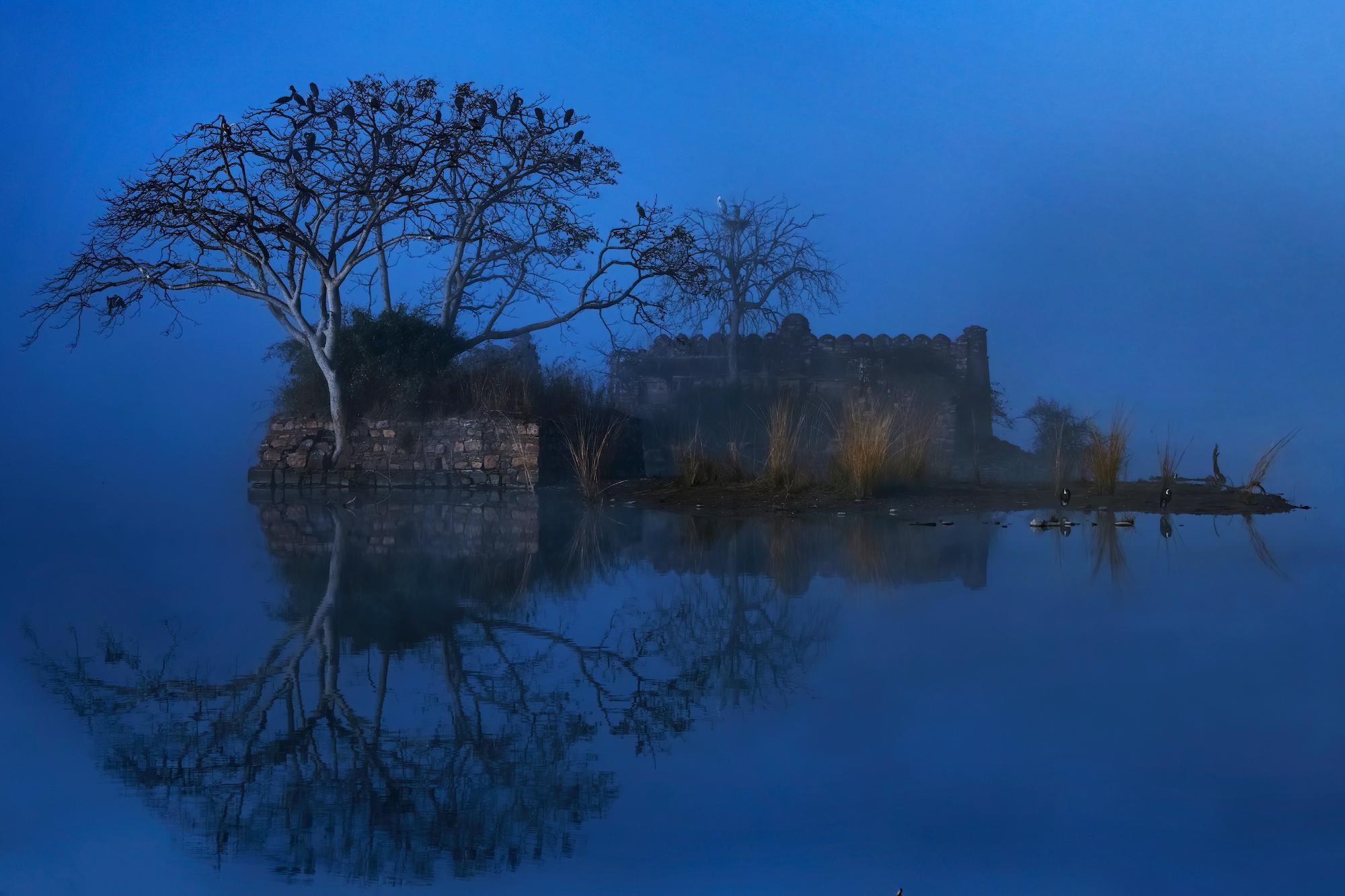 Aditya Dicky Singh Color Photograph - Landscape Photograph Large Nature Lake Trees Water Wildlife India Blue