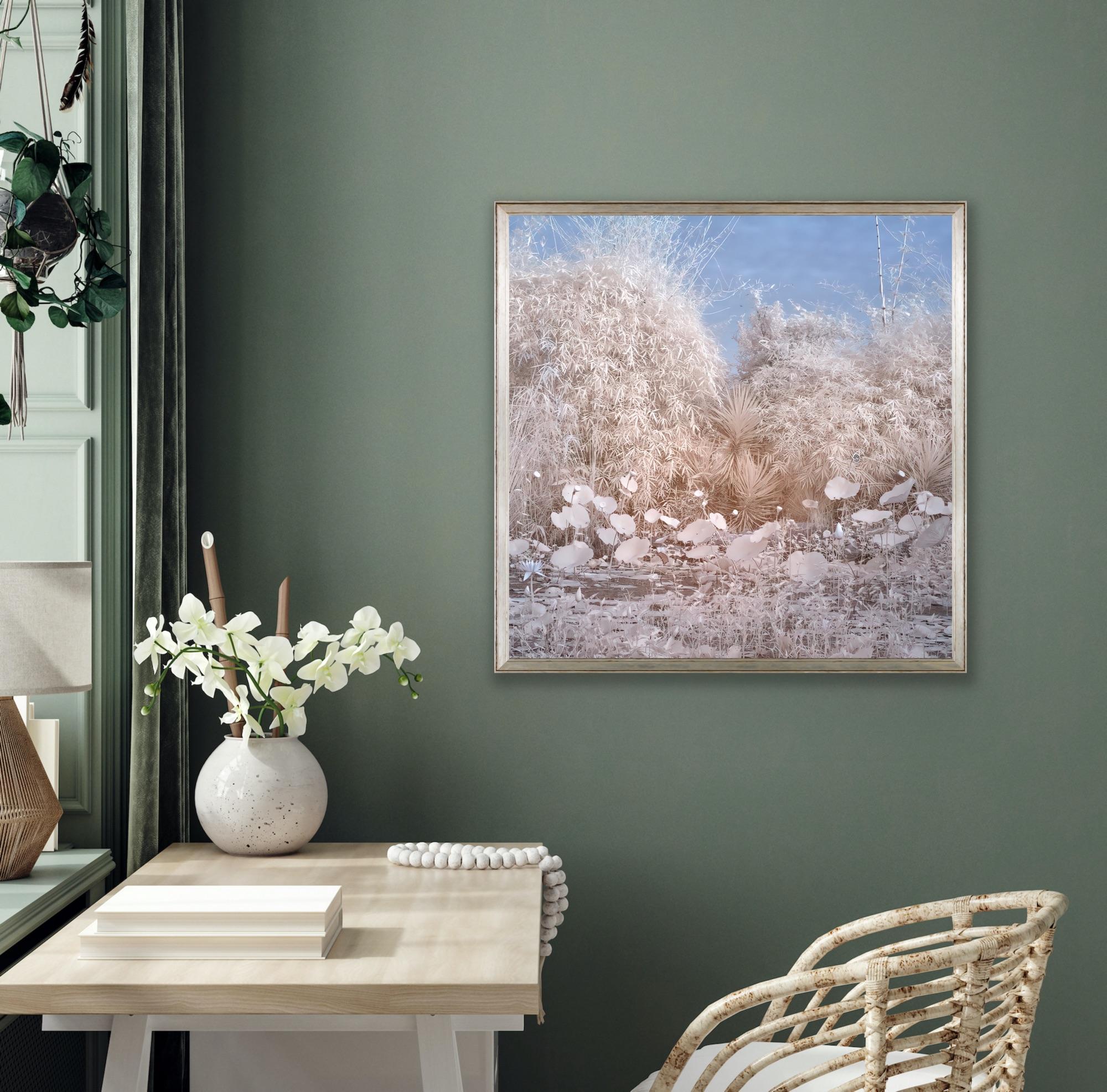 Nature Landscape Lily Pond Blue White Infrared Wildlife Photograph India For Sale 6