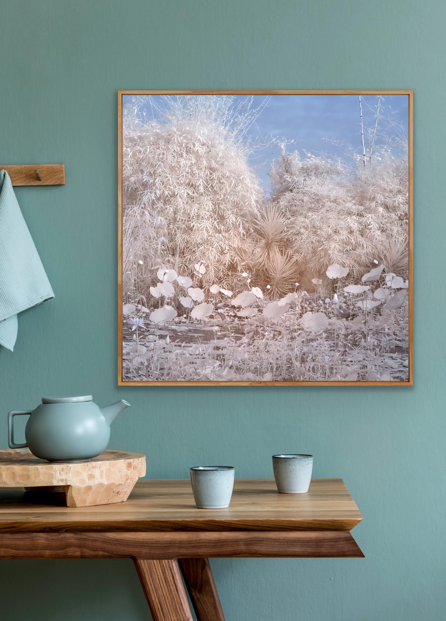 Nature Landscape Lily Pond Blue White Infrared Wildlife Photograph India For Sale 7