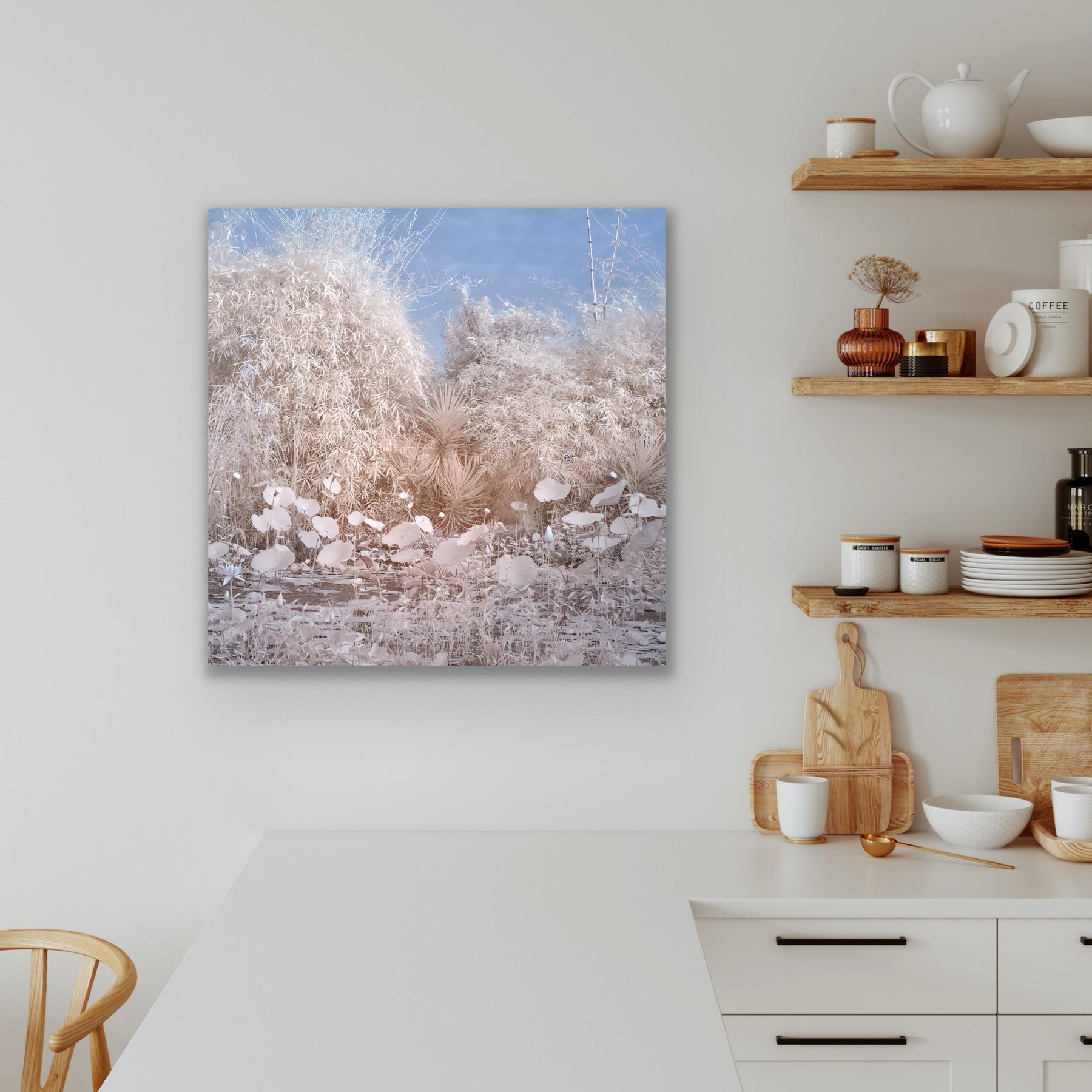 Nature Landscape Lily Pond Blue White Infrared Wildlife Photograph India For Sale 8