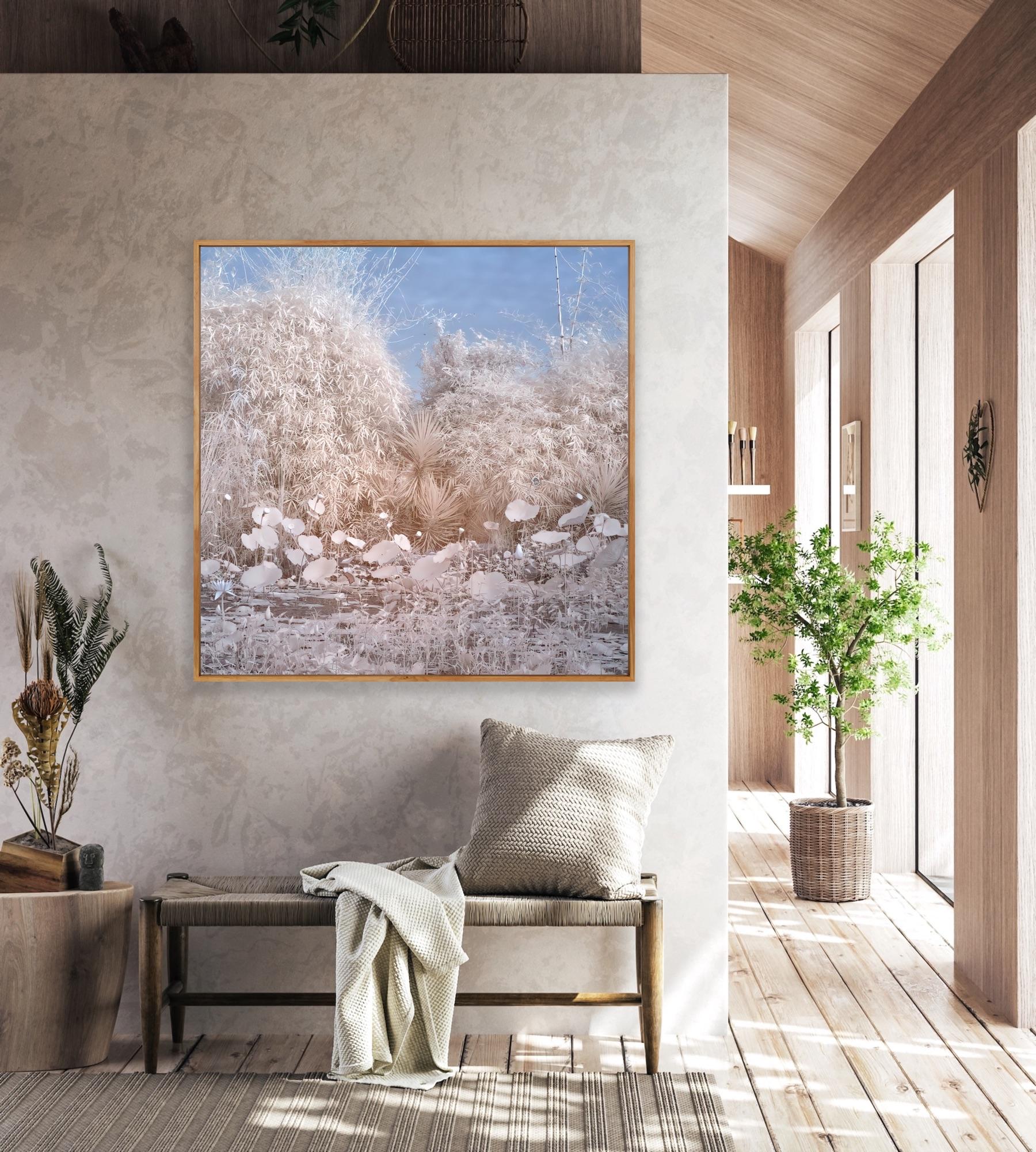 Nature Landscape Lily Pond Blue White Infrared Wildlife Photograph India For Sale 9