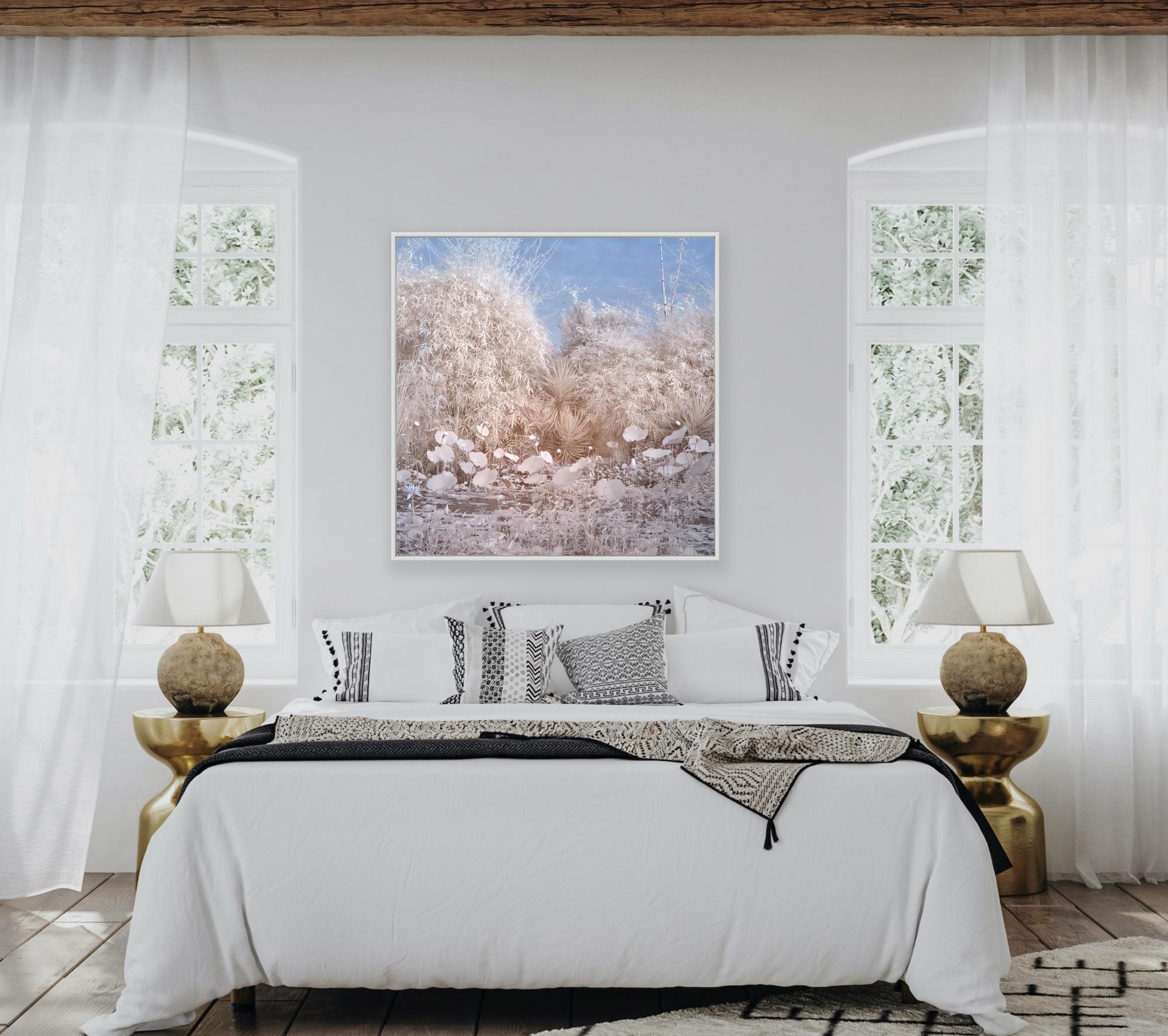 Nature Landscape Lily Pond Blue White Infrared Wildlife Photograph India For Sale 10