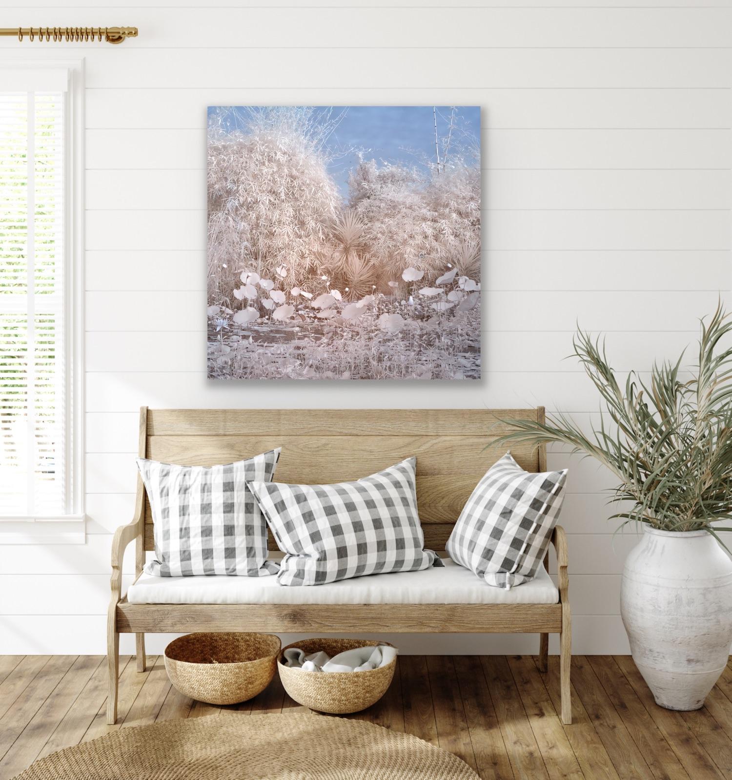 Nature Landscape Lily Pond Blue White Infrared Wildlife Photograph India For Sale 11