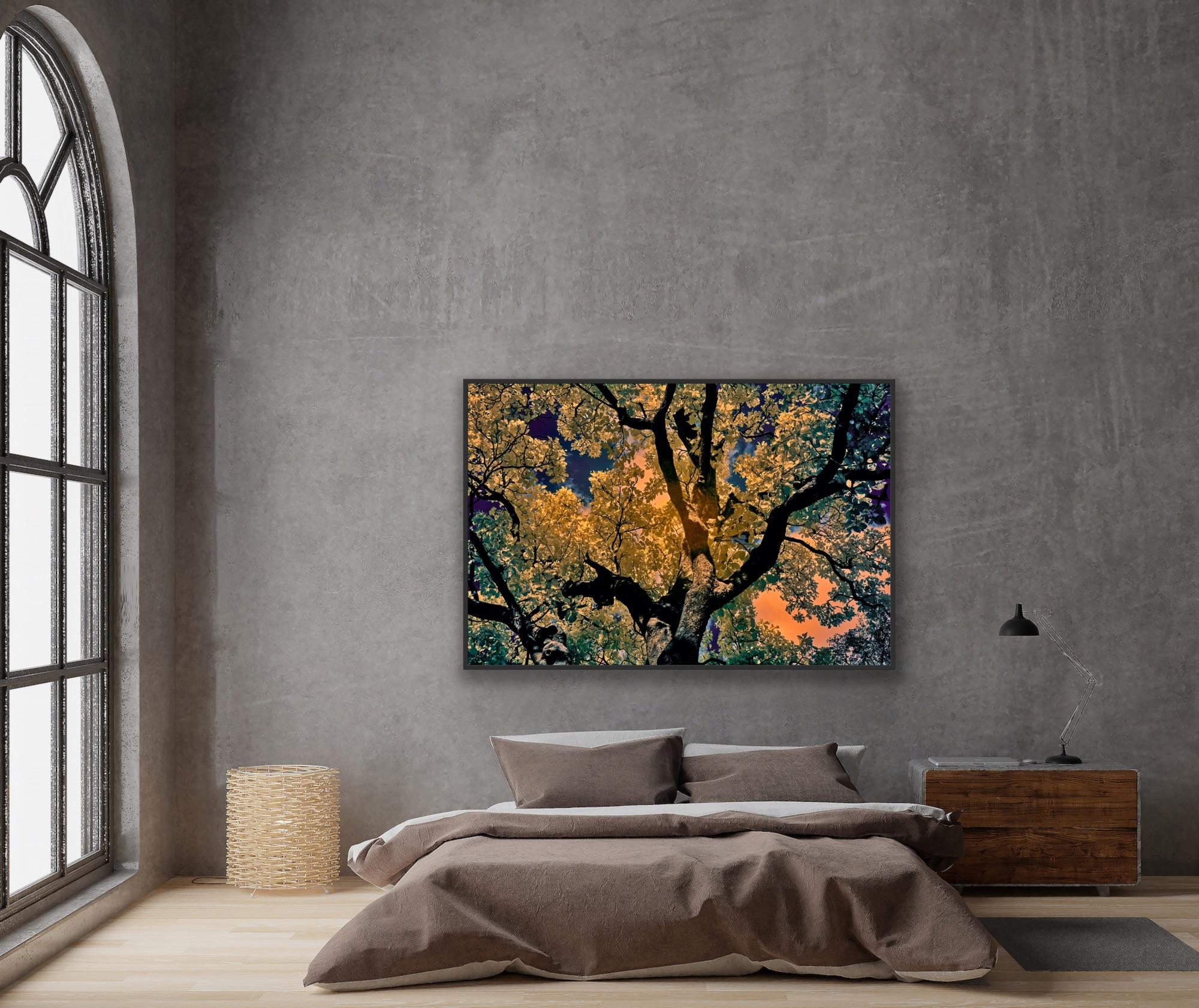 Nature Tree Landscape Große Fotografie Wildlife Indien Orange Blau Edition 4/8 im Angebot 5