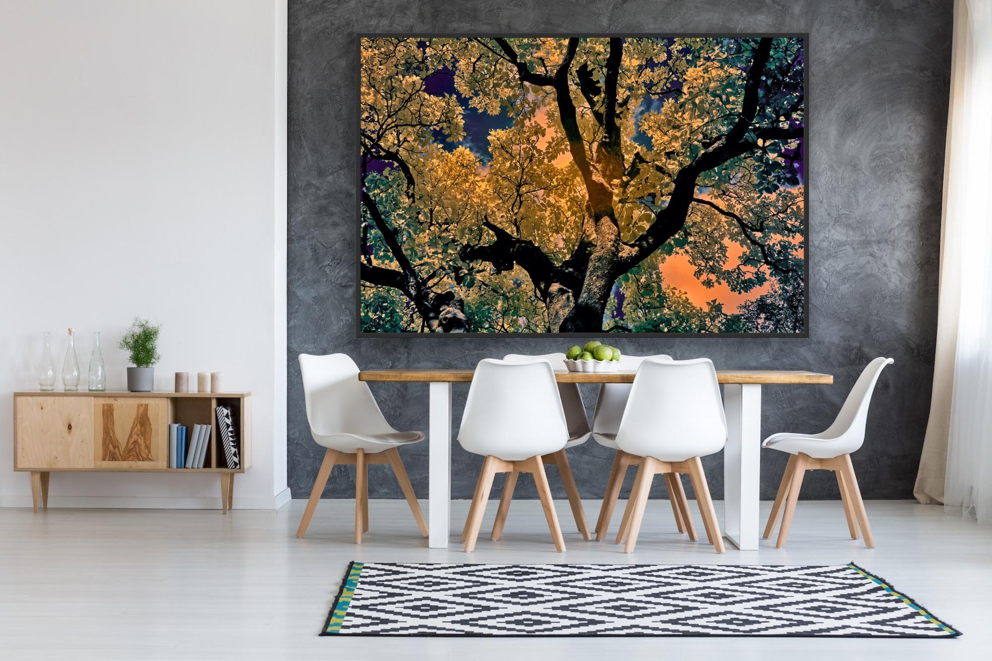 Nature Tree Landscape Große Fotografie Wildlife Indien Orange Blau Edition 4/8 im Angebot 6