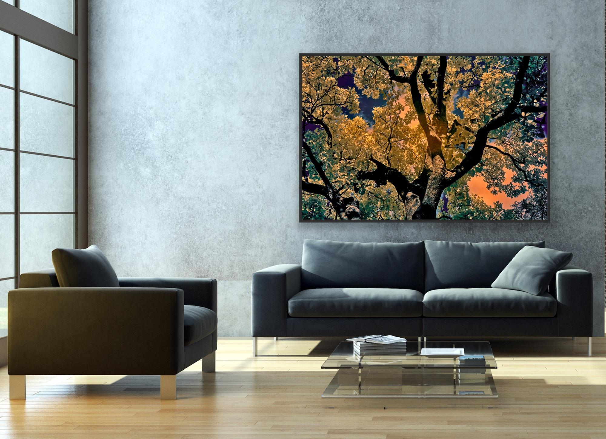 Nature Tree Landscape Große Fotografie Wildlife Indien Orange Blau Edition 4/8 im Angebot 7