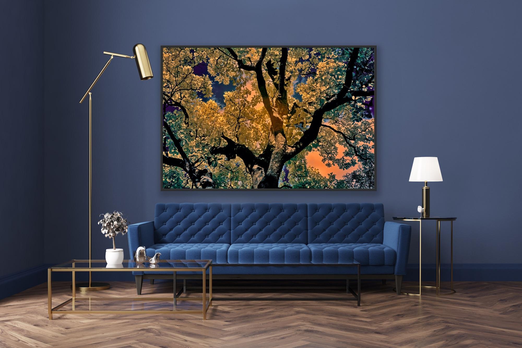 Nature Tree Landscape Große Fotografie Wildlife Indien Orange Blau Edition 4/8 im Angebot 8