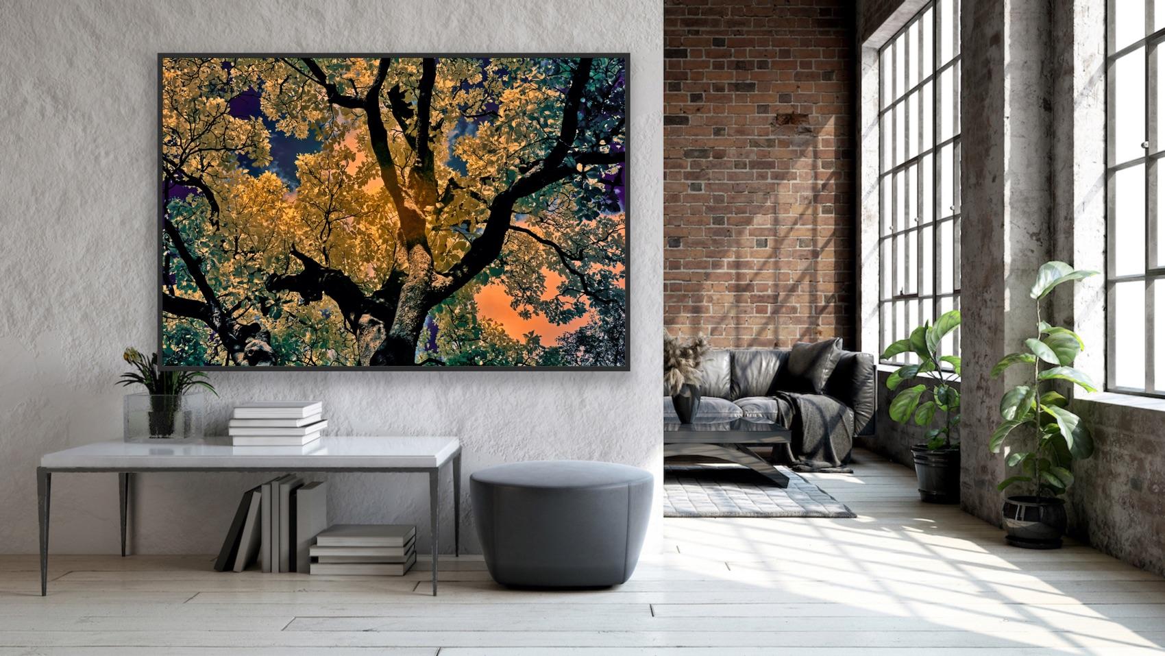 Nature Tree Landscape Große Fotografie Wildlife Indien Orange Blau Edition 4/8 im Angebot 9