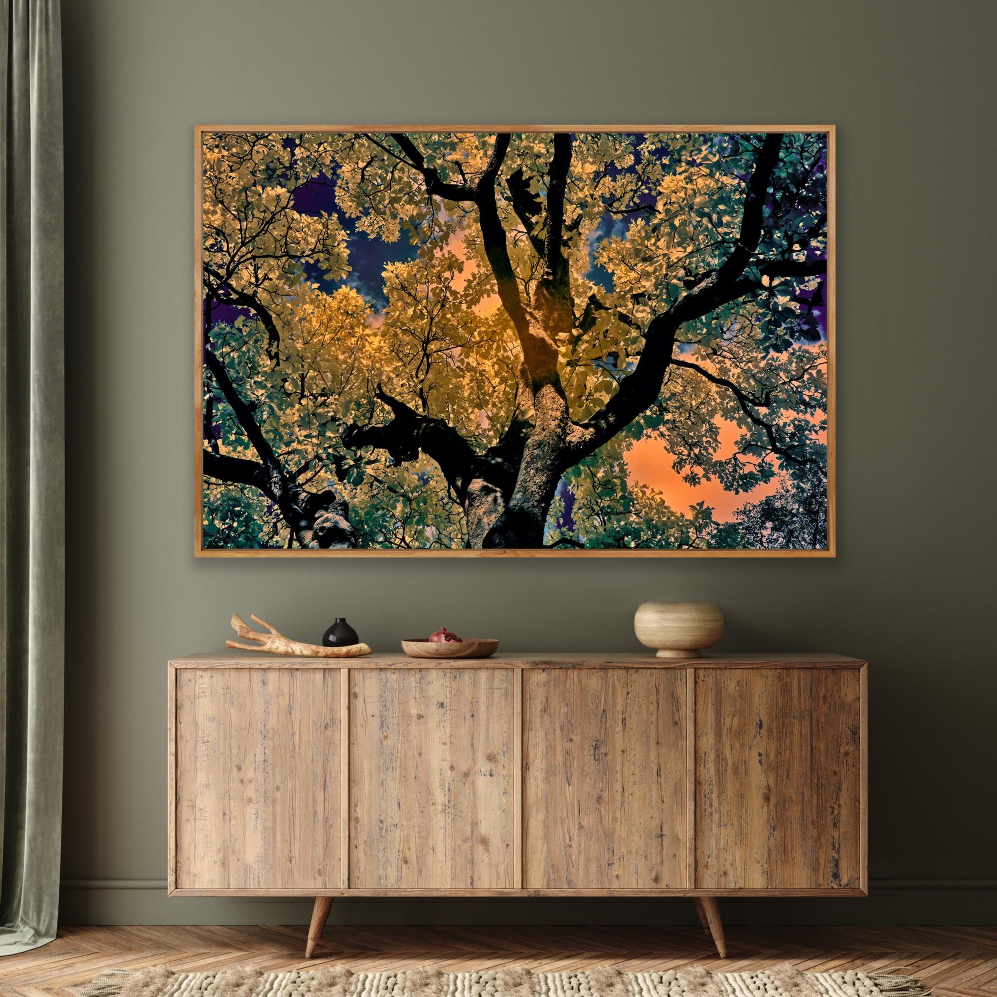 Nature Tree Landscape Große Fotografie Wildlife Indien Orange Blau Edition 4/8 im Angebot 13