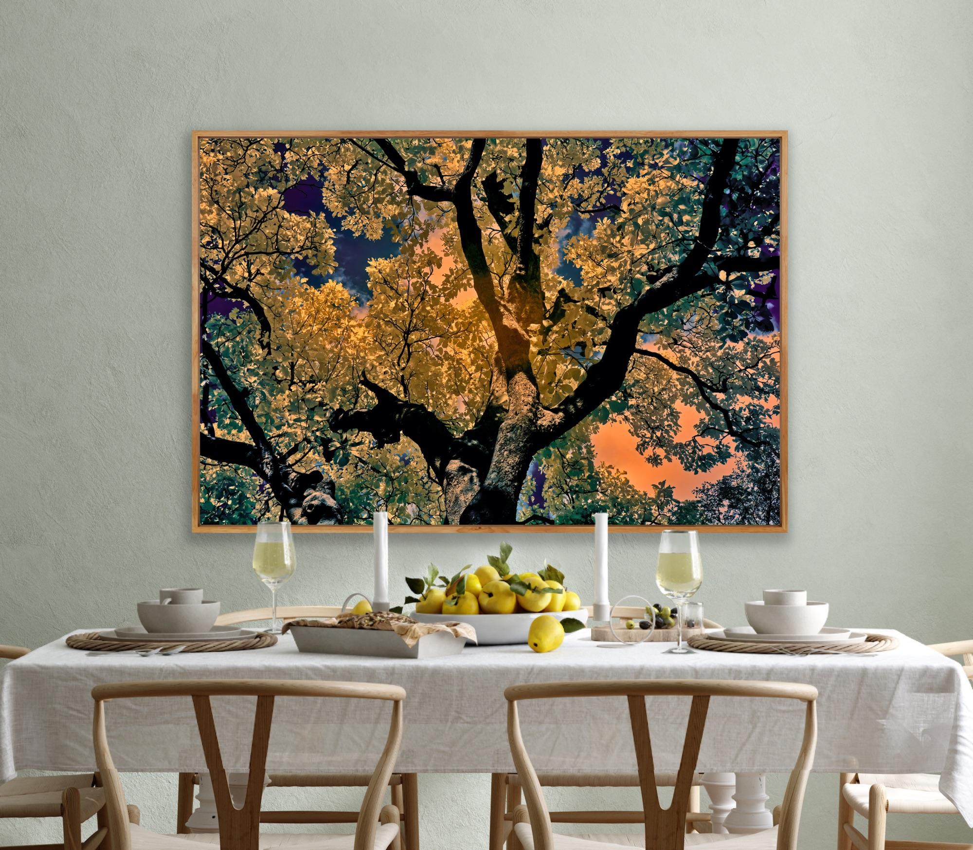 Nature Tree Landscape Große Fotografie Wildlife Indien Orange Blau Edition 4/8 im Angebot 1
