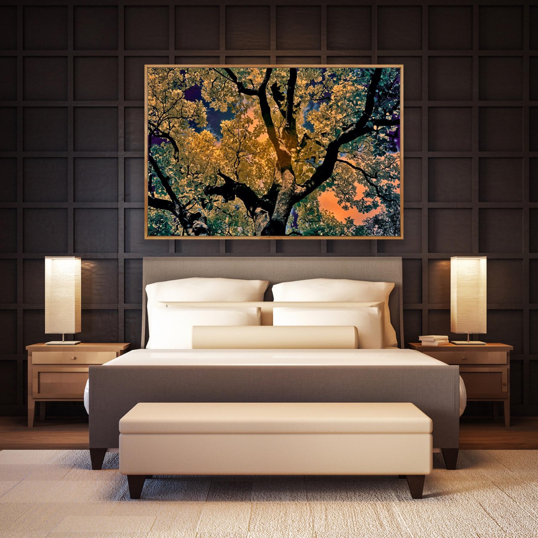 Nature Tree Landscape Große Fotografie Wildlife Indien Orange Blau Edition 4/8 im Angebot 2
