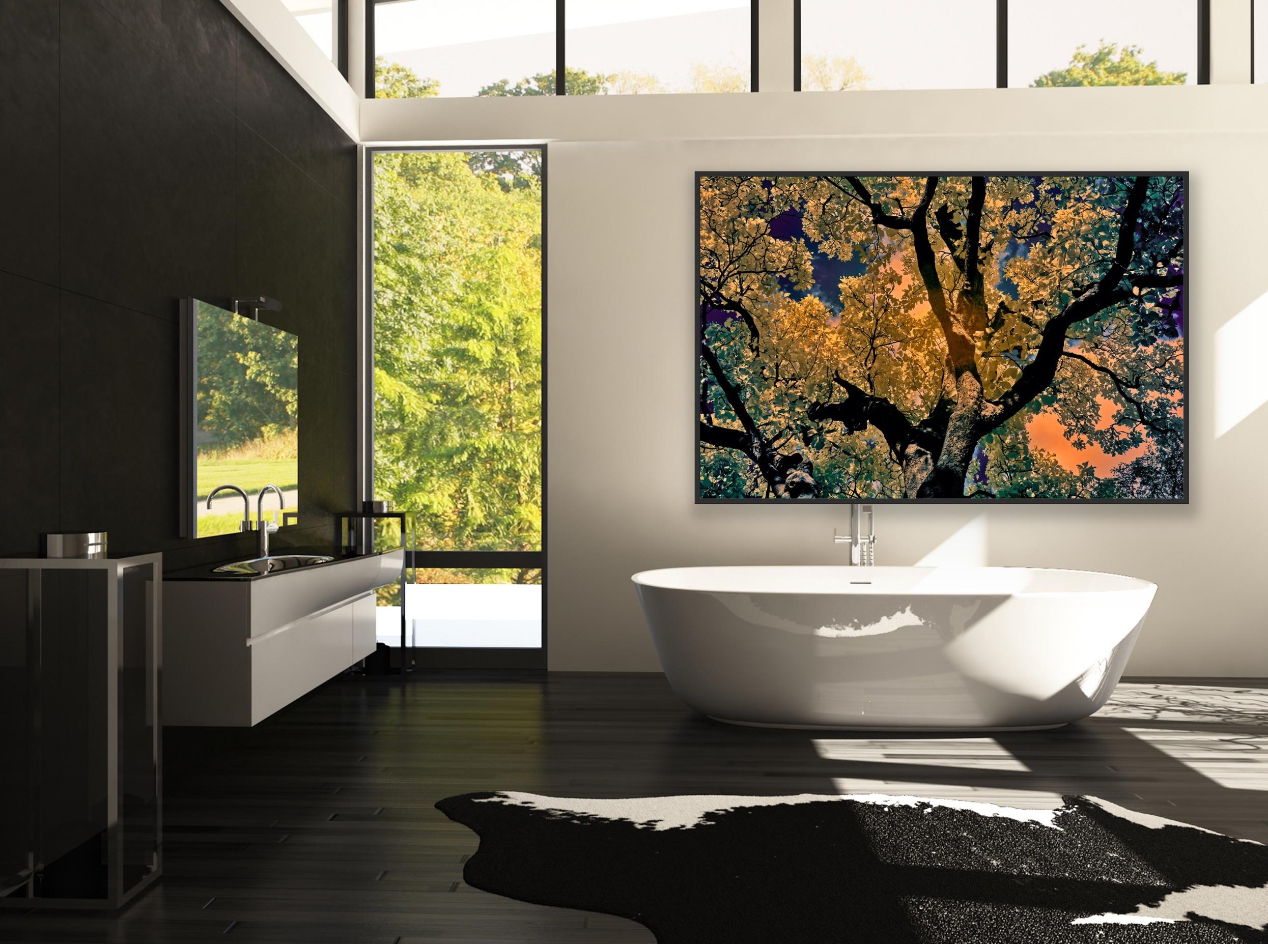 Nature Tree Landscape Große Fotografie Wildlife Indien Orange Blau Edition 4/8 im Angebot 3