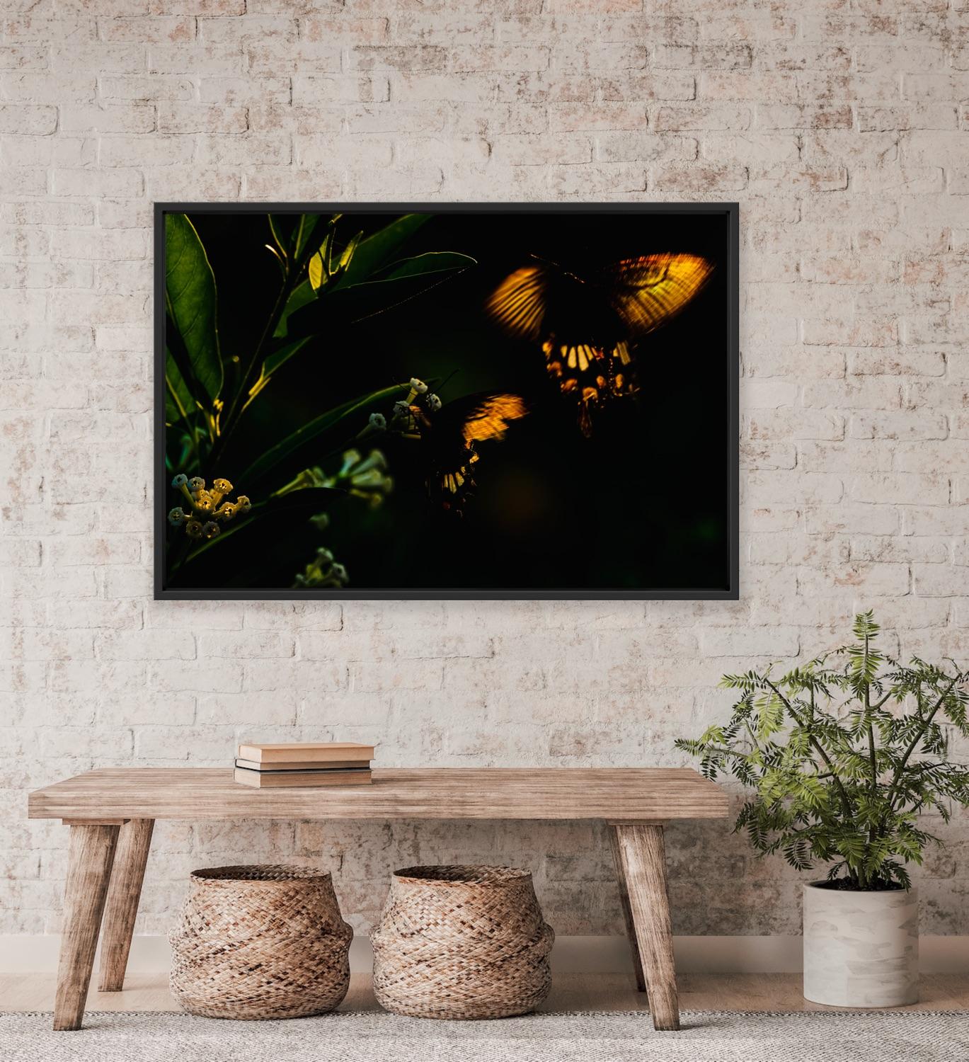 Landscape Photography Wildlife Trees Animal Nature Rose Butterfly India Forest For Sale 12