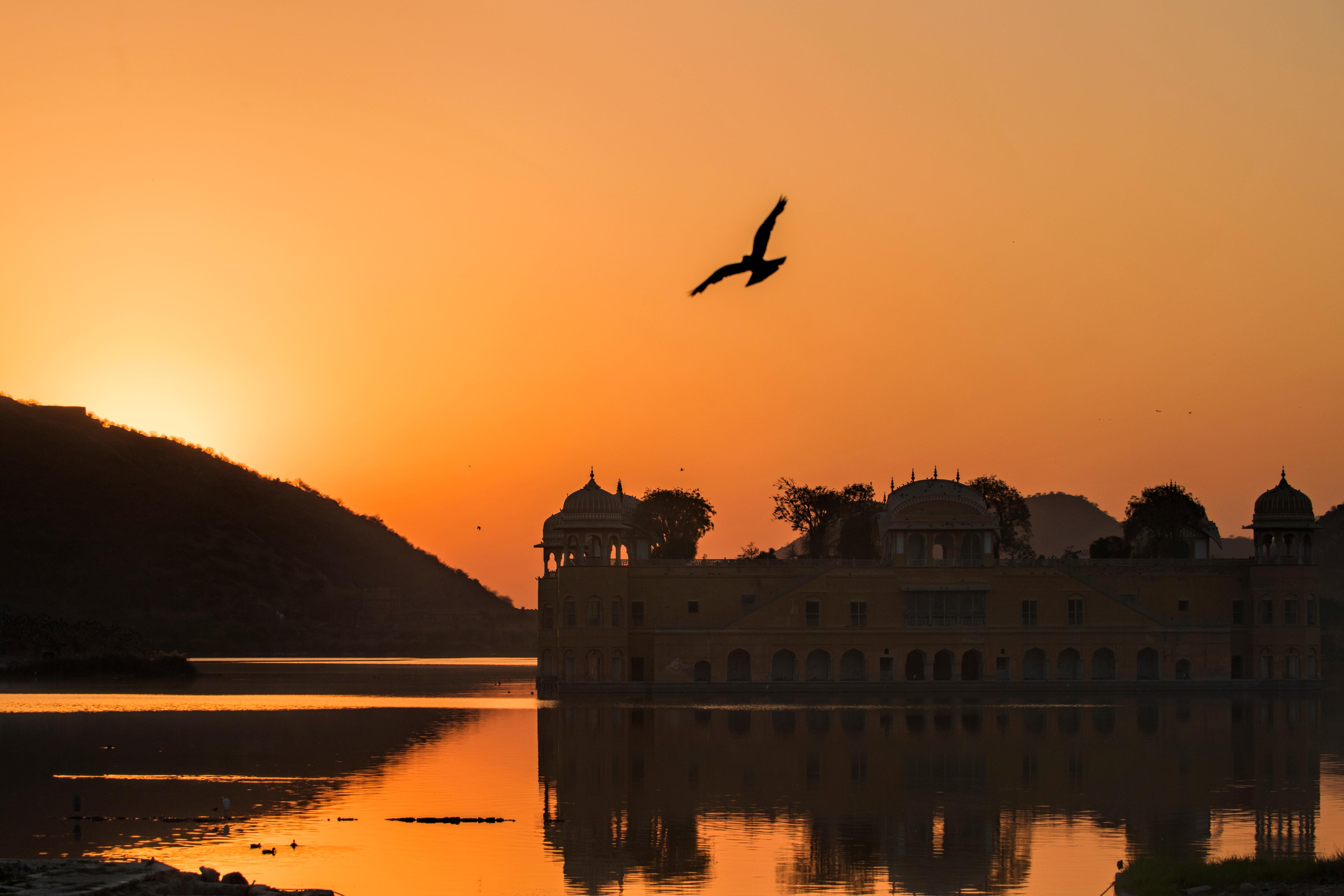 Aditya Dicky Singh Landscape Print – Sonnenuntergang Indien Orange Goldenes Licht See Palast Vogel Natur Tierwelt Foto