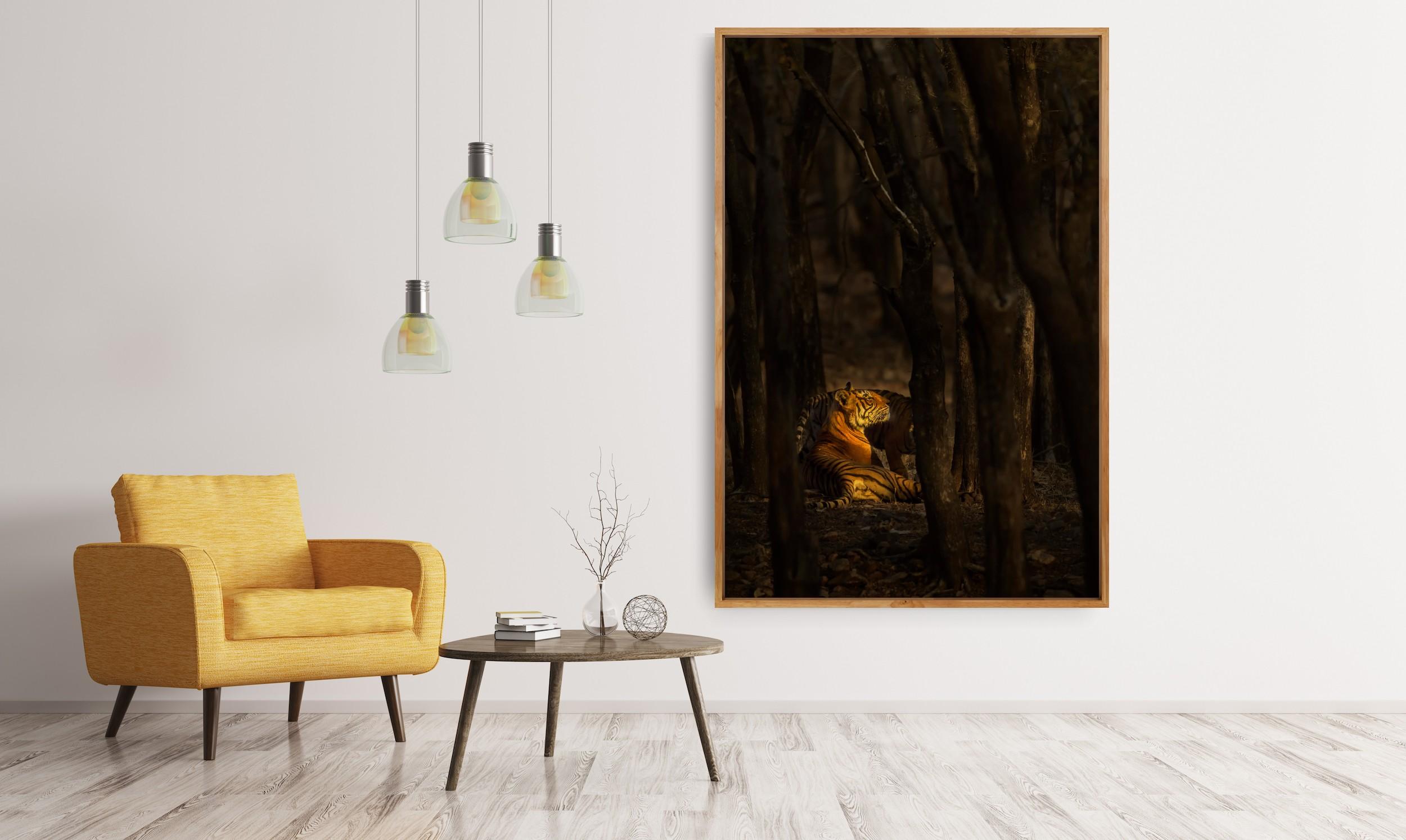 Animal Nature Photograph Tiger Orange Large 1/8 India Forest Wildlife Trees For Sale 4