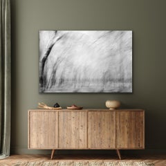 Nature Wildlife Landscape Nature Large Abstract Trees India Black White