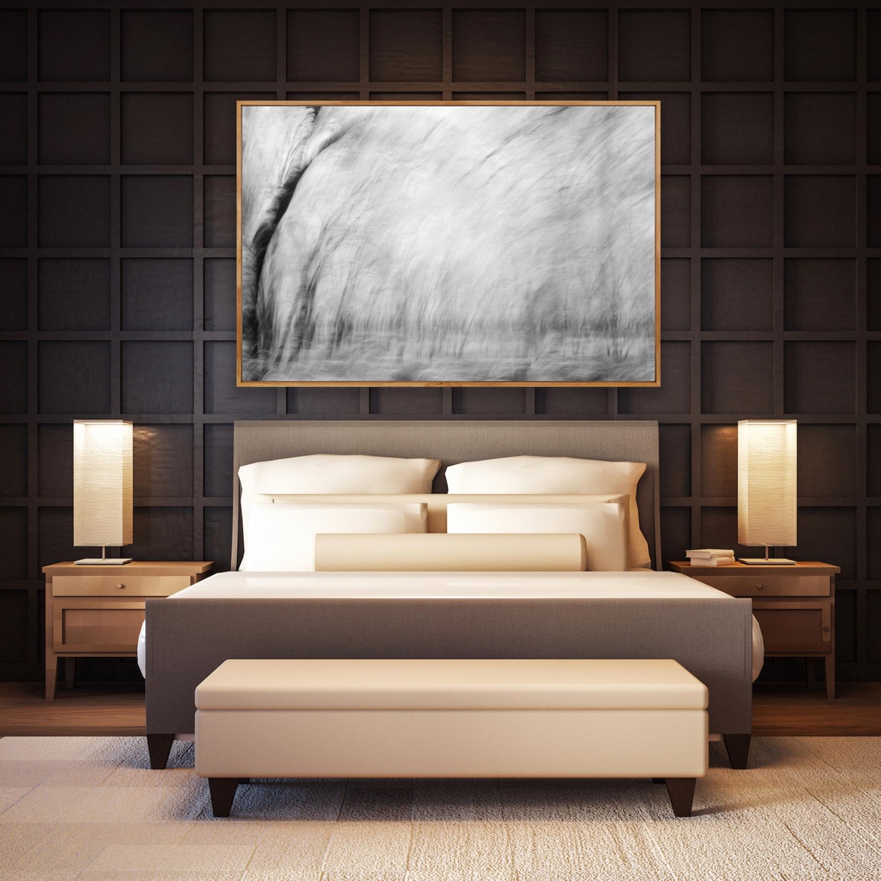 Nature Wildlife Landscape Nature Large Abstract Trees India Black White im Angebot 3