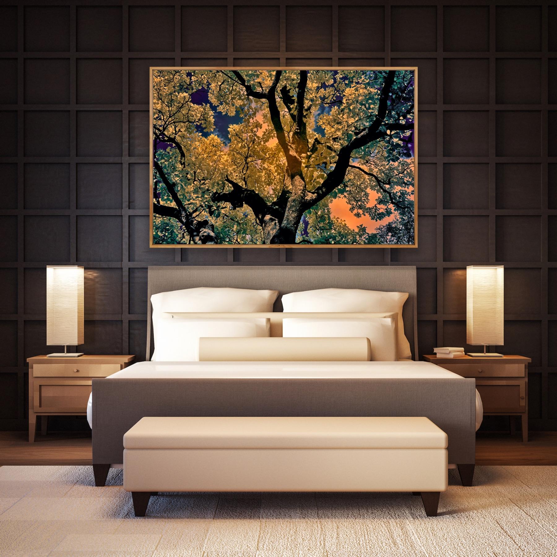 Landscape Photograph Nature Tree Large Infrared Wildlife India Orange Blue  5