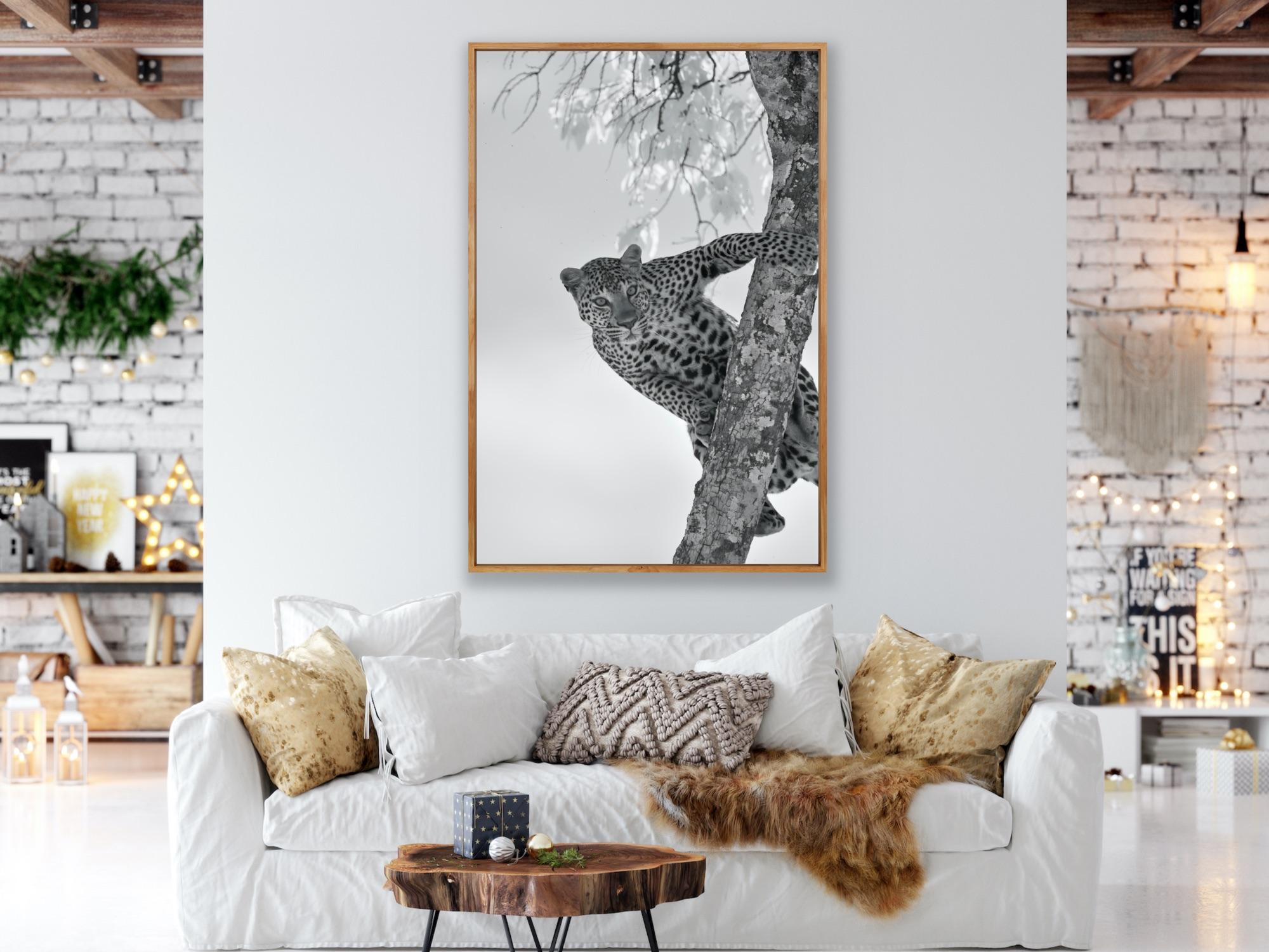 Animali selvatici Paesaggio Grande Fotografia Leopardo Albero Nature Infrarossi in vendita 1