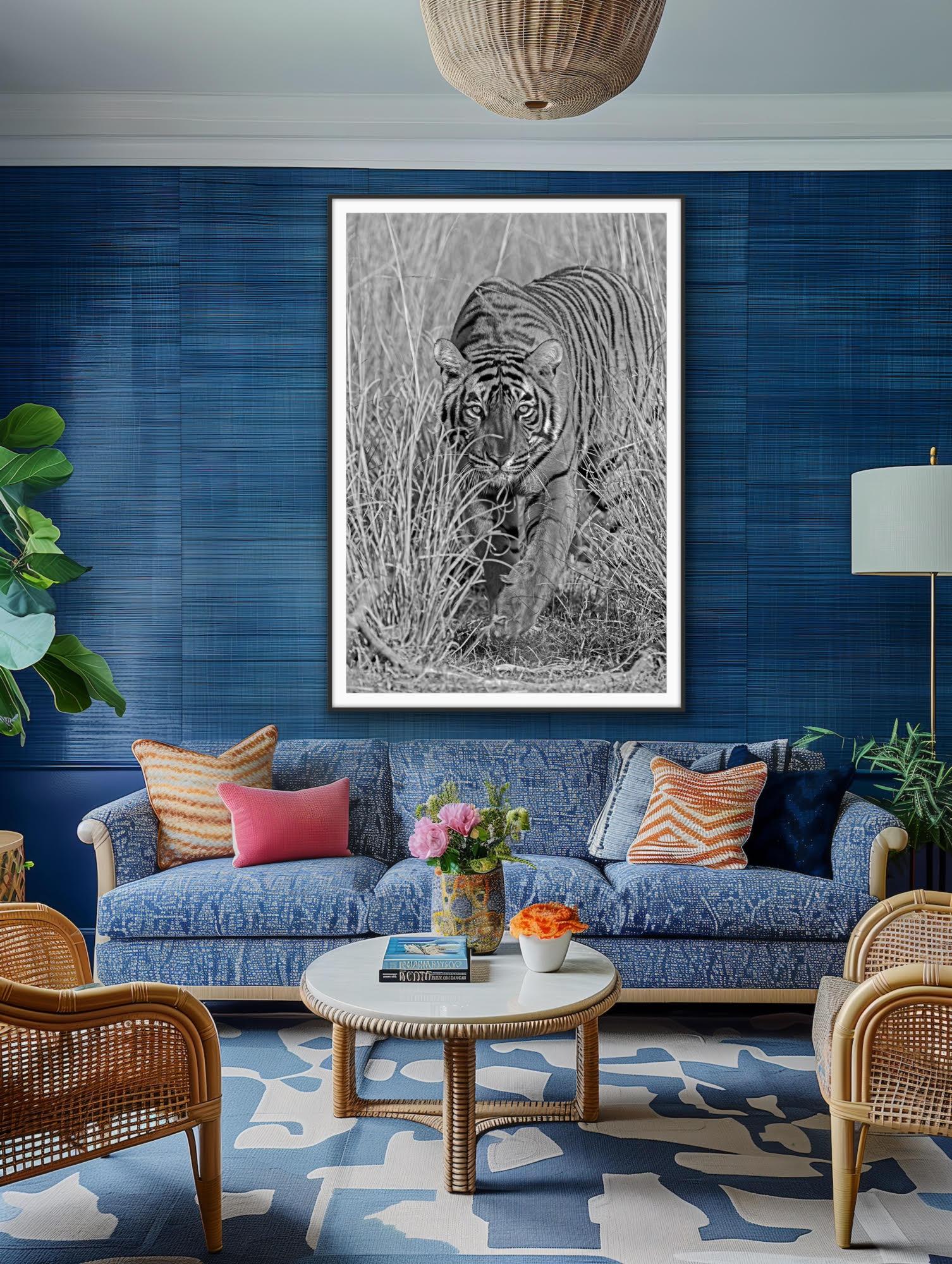 Wildlife Tiger Nature Very Large Black White Photograph Vintage India Forest For Sale 2