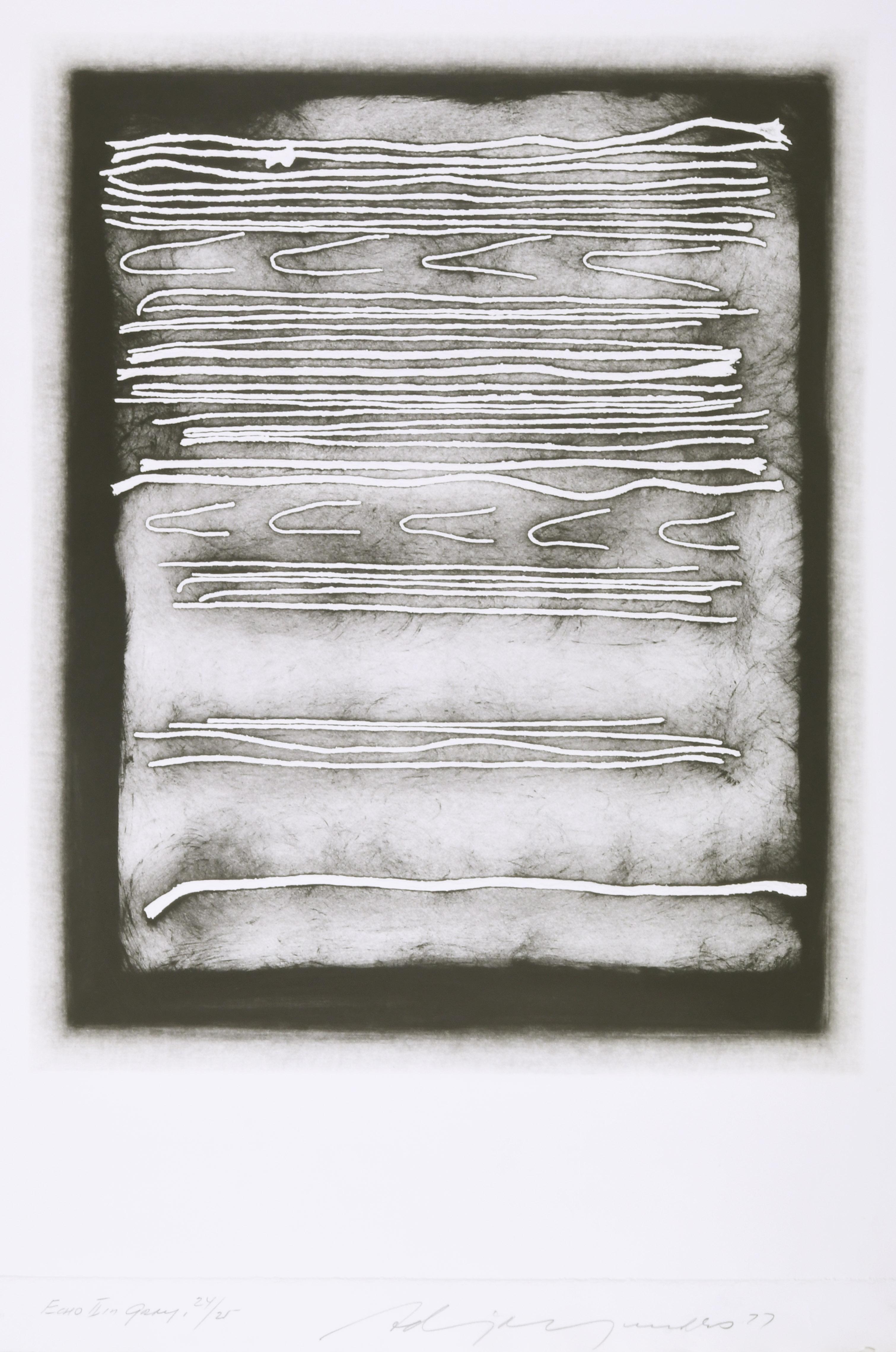 Echo in Grey