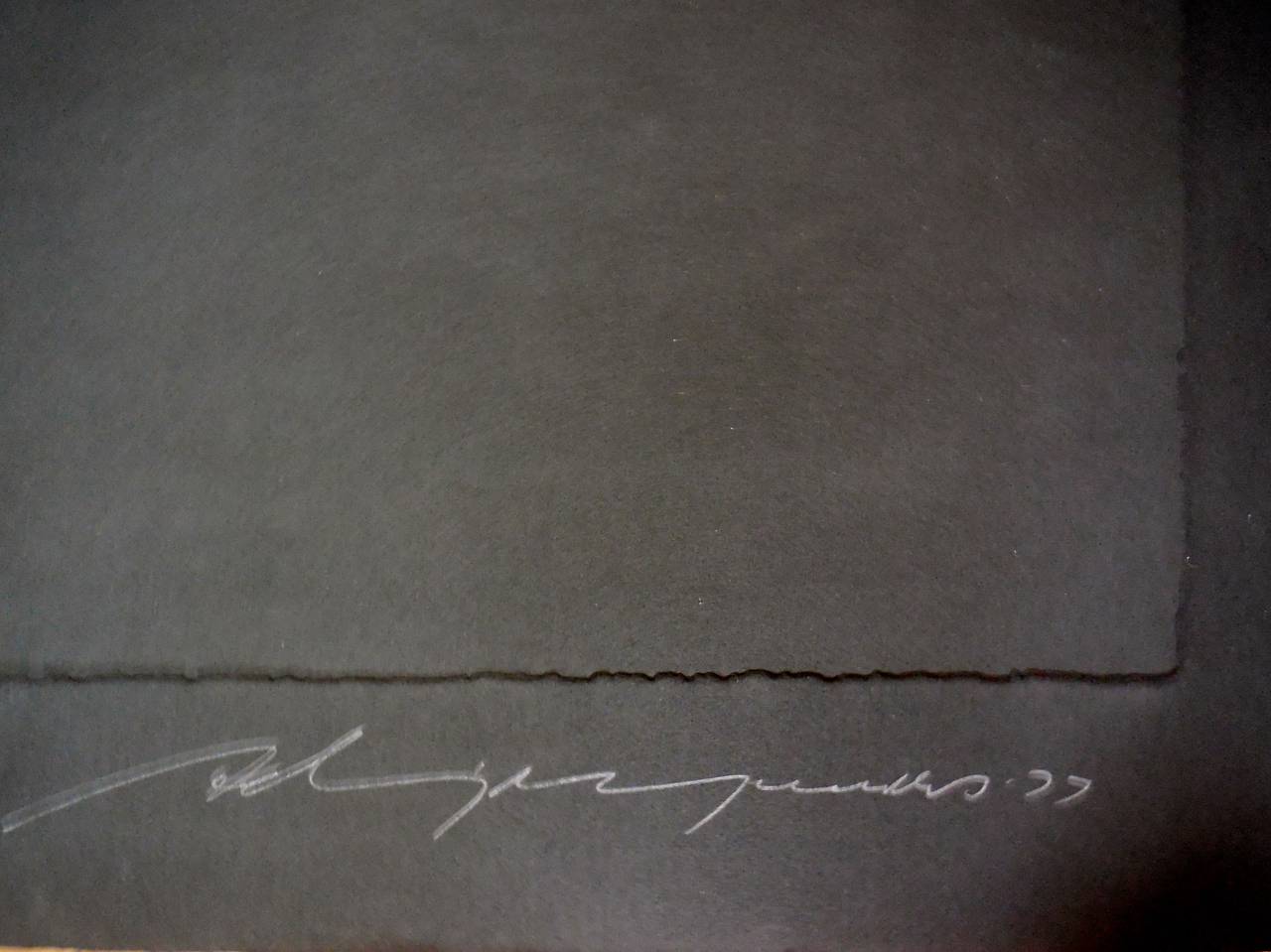 Gravure en taille-douce moderne lettone 'The Sky Hides All It's Birds' (Le ciel cache tous ses oiseaux) Gaufrage - Gris Animal Print par Adja Yunkers