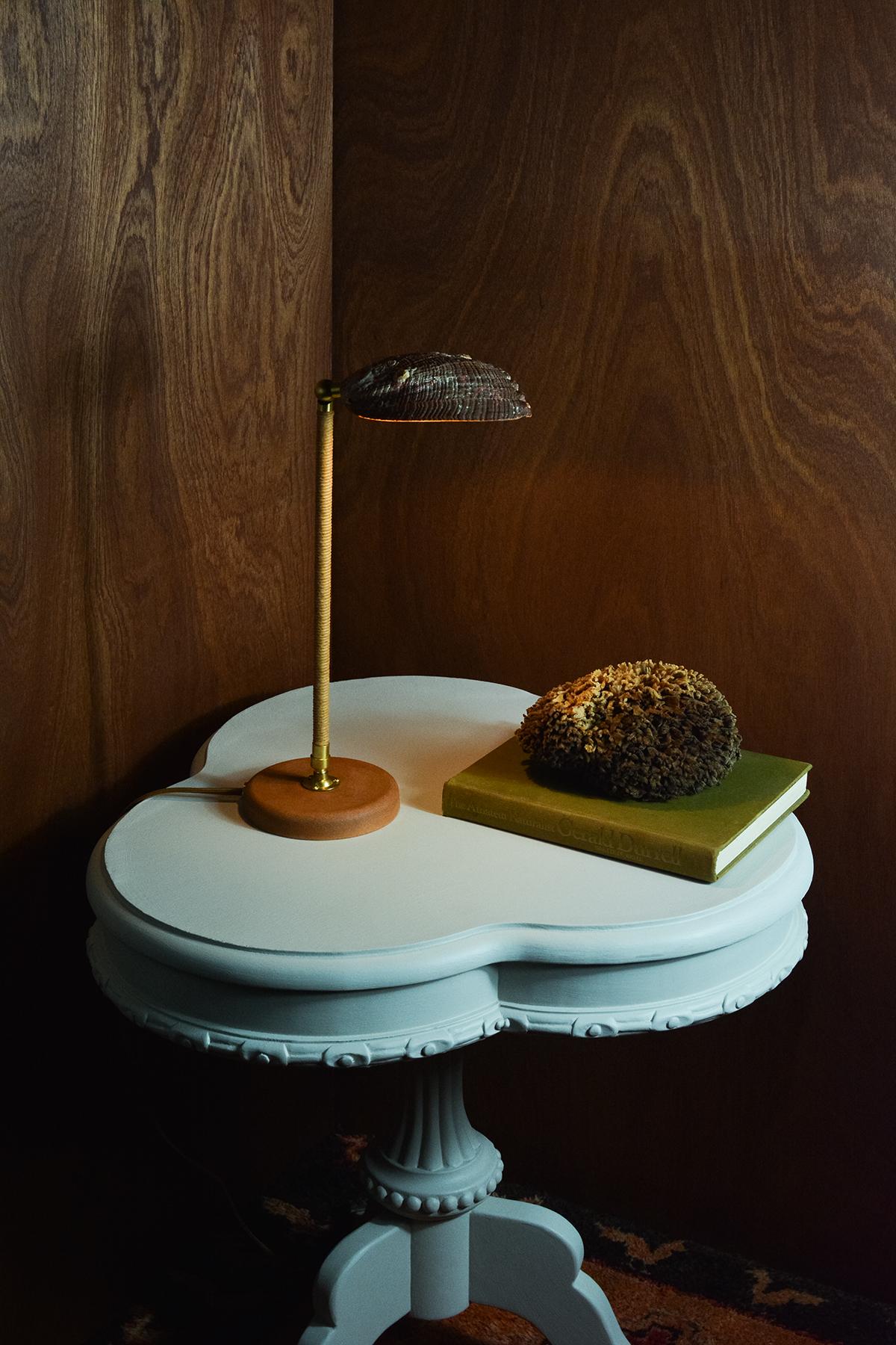 Adjustable 'Abalone Task Lamp' in Brass with Natural Abalone Seashell Shade For Sale 4