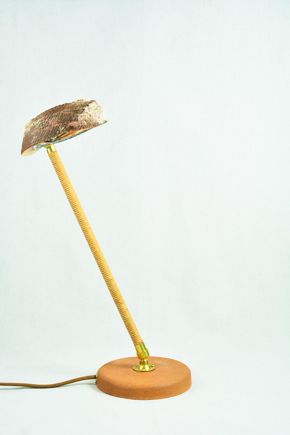 Adjustable 'Abalone Task Lamp' in Brass with Natural Abalone Seashell Shade In New Condition For Sale In Brooklyn, NY