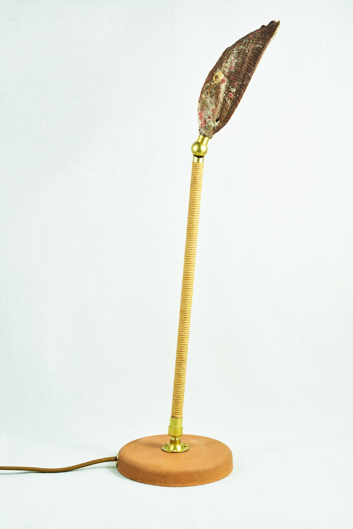 XXIe siècle et contemporain Lampe à pampillesbalone réglable en laiton avec abat-jour en ormeau naturel coquillage de mer en vente