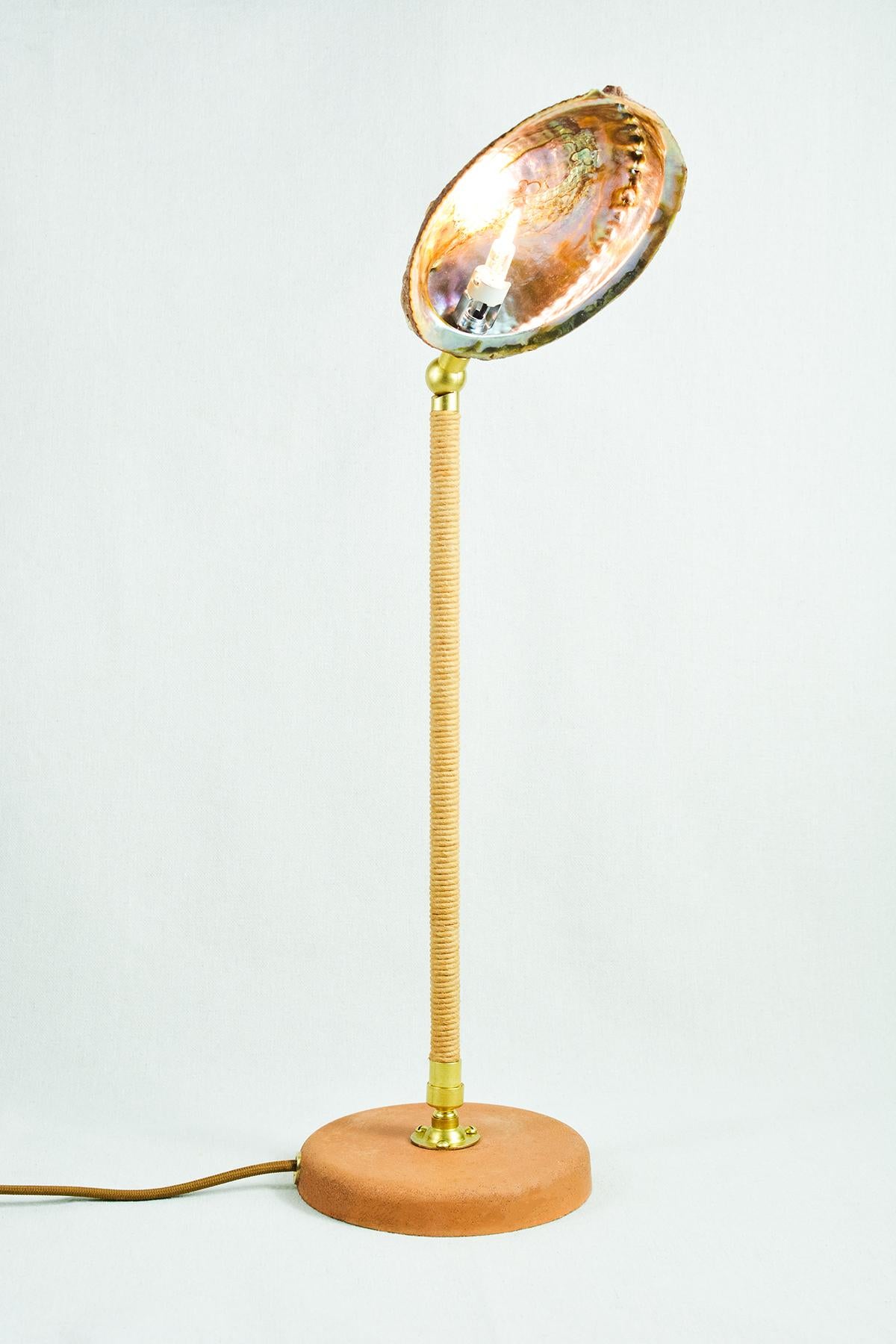 Adjustable 'Abalone Task Lamp' in Brass with Natural Abalone Seashell Shade For Sale 1