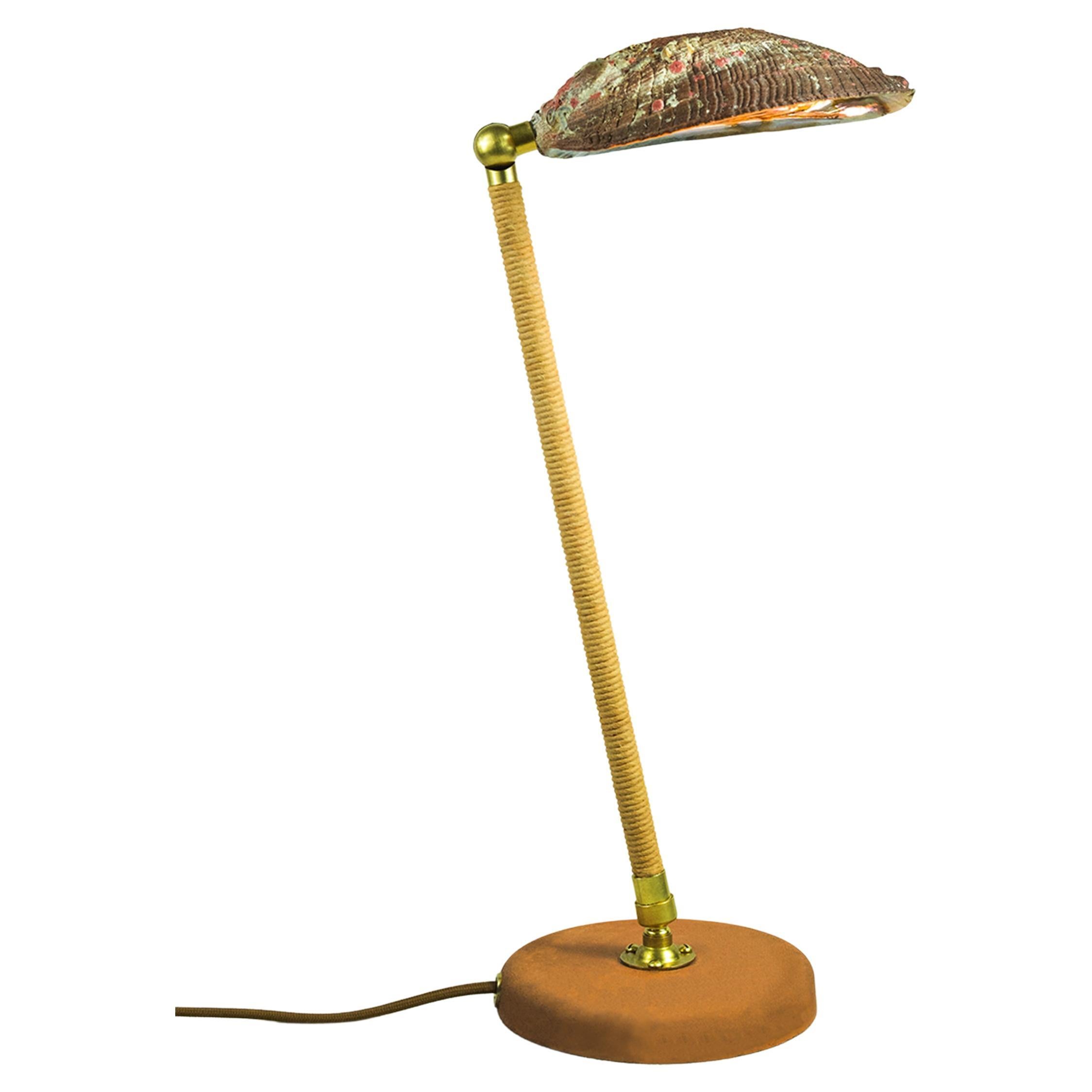 Adjustable 'Abalone Task Lamp' in Brass with Natural Abalone Seashell Shade