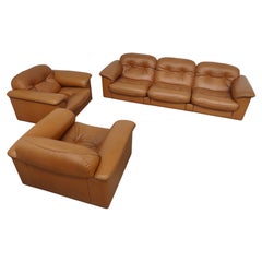 Adjustable De Sede Leather Sofa and armchairs Ds-101 Model 70s