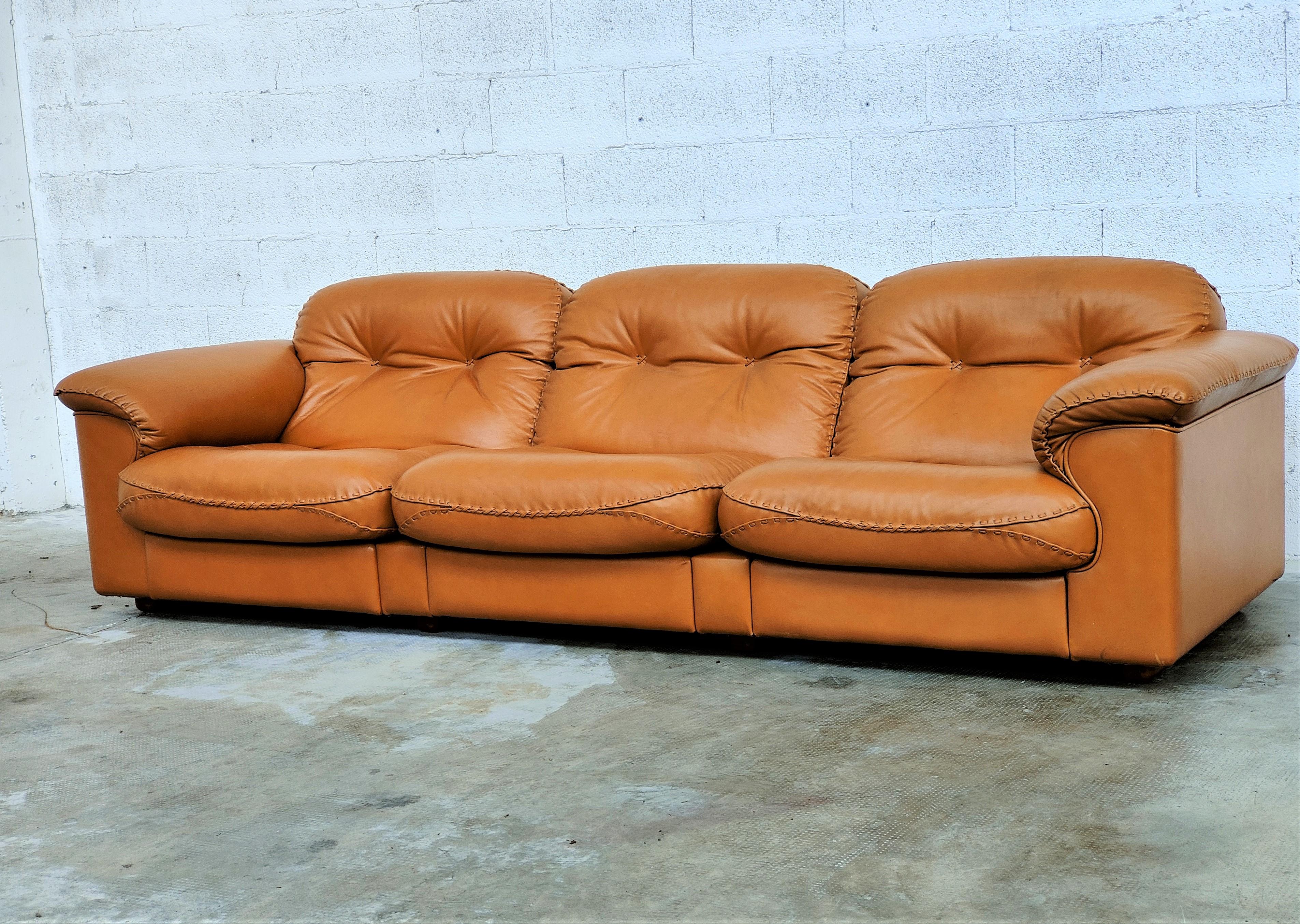 Swiss Adjustable De Sede Three Seater Leather Sofa Ds-101 Model 70s