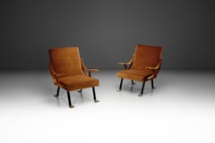 Adjustable "Digamma" Armchairs by Ignazio Gardella for Gavina, Italy 1960s