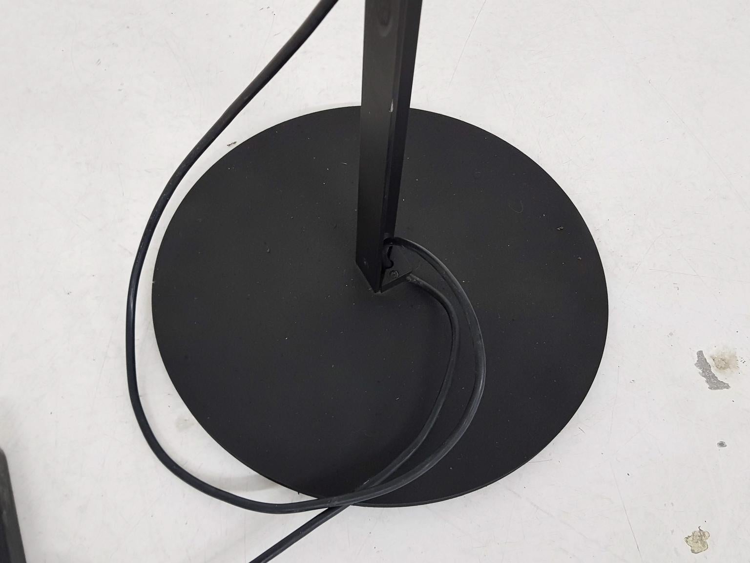 Adjustable Floor Lamp 