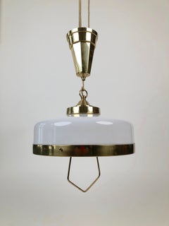 Adjustable Jugendstil Chandelier with White Opal Glass