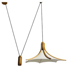 Adjustable Midcentury Wooden Pendant Lamp with Counterweight by Domus, 1960s