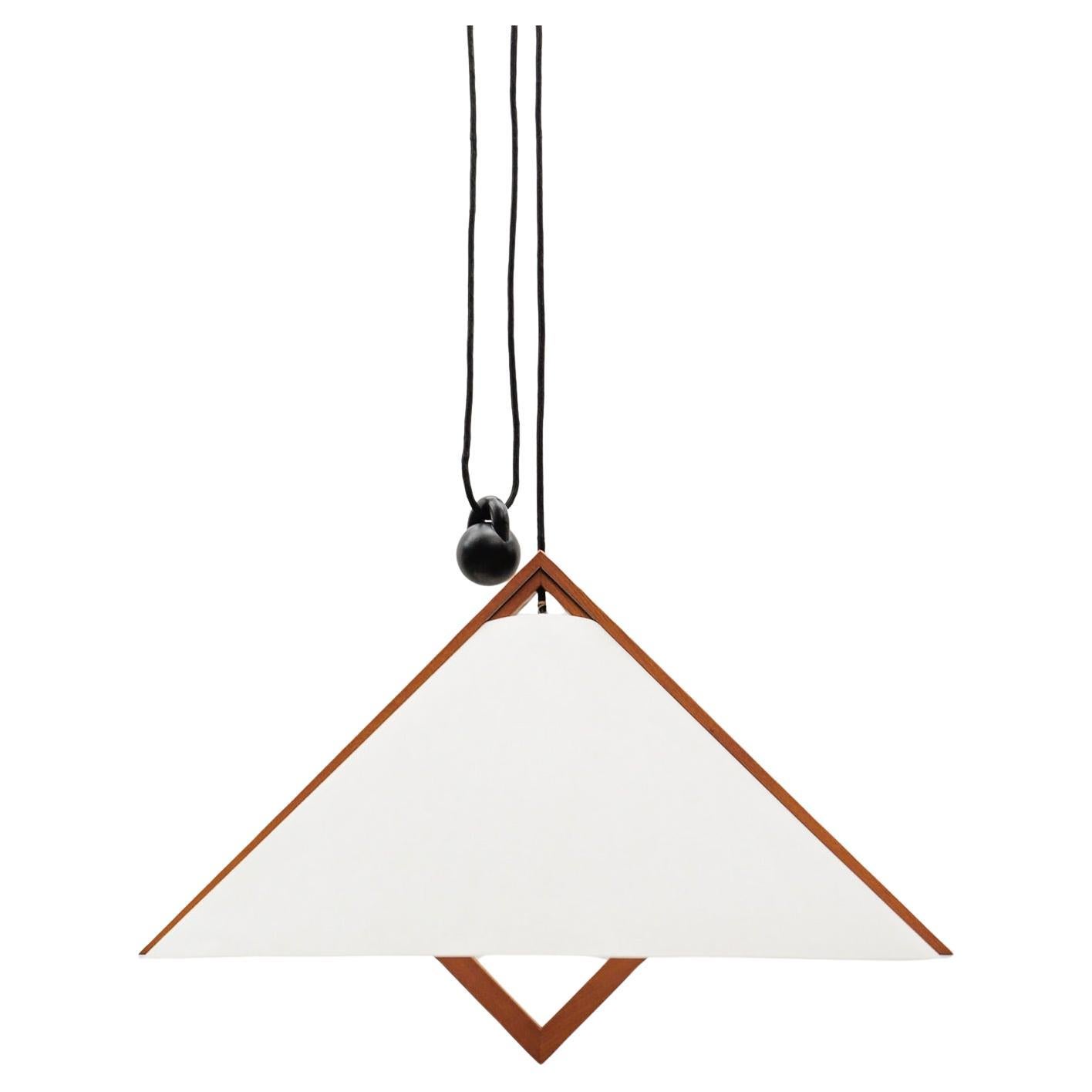 Adjustable Pendant Lamp by Domus, 1970s, Italy