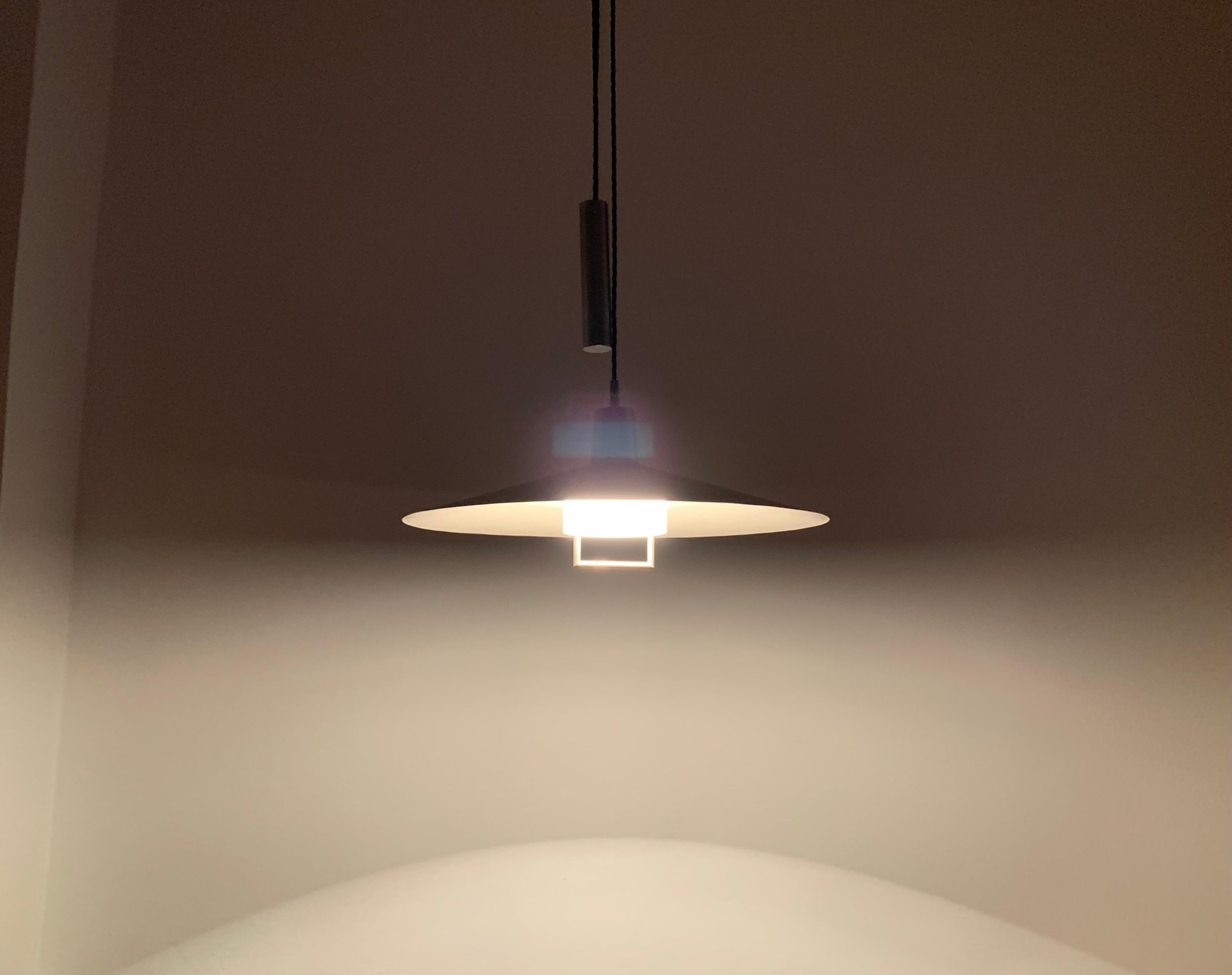 Adjustable Pendant Lamp with Counterweight For Sale 4